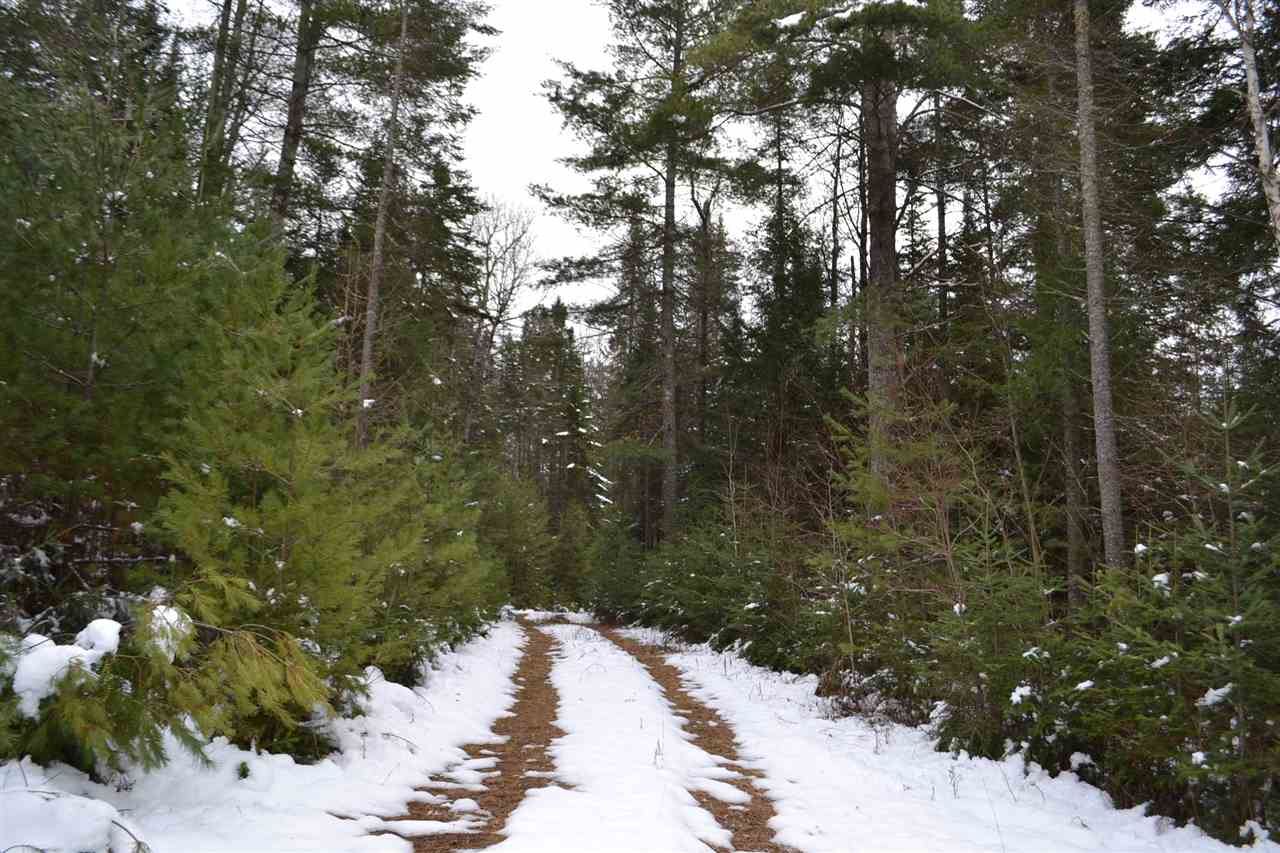 145 Jerusalem Road Marshfield, VT 05667 - Photo 10 of 11