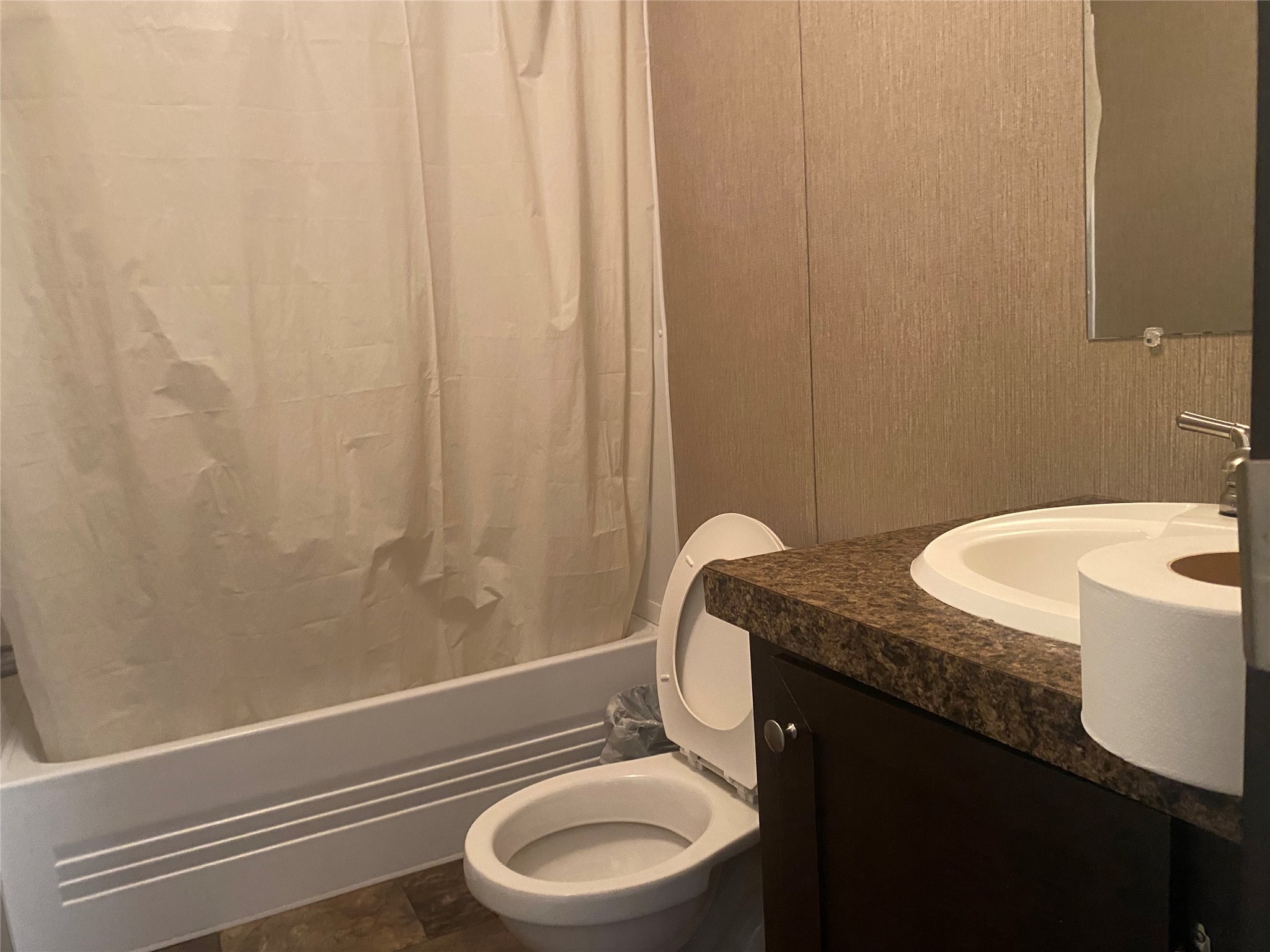 357 Duchess Pass Kyle, TX 78640 - Photo 16 of 18 a bathroom with a granite countertop sink toilet and a mirror