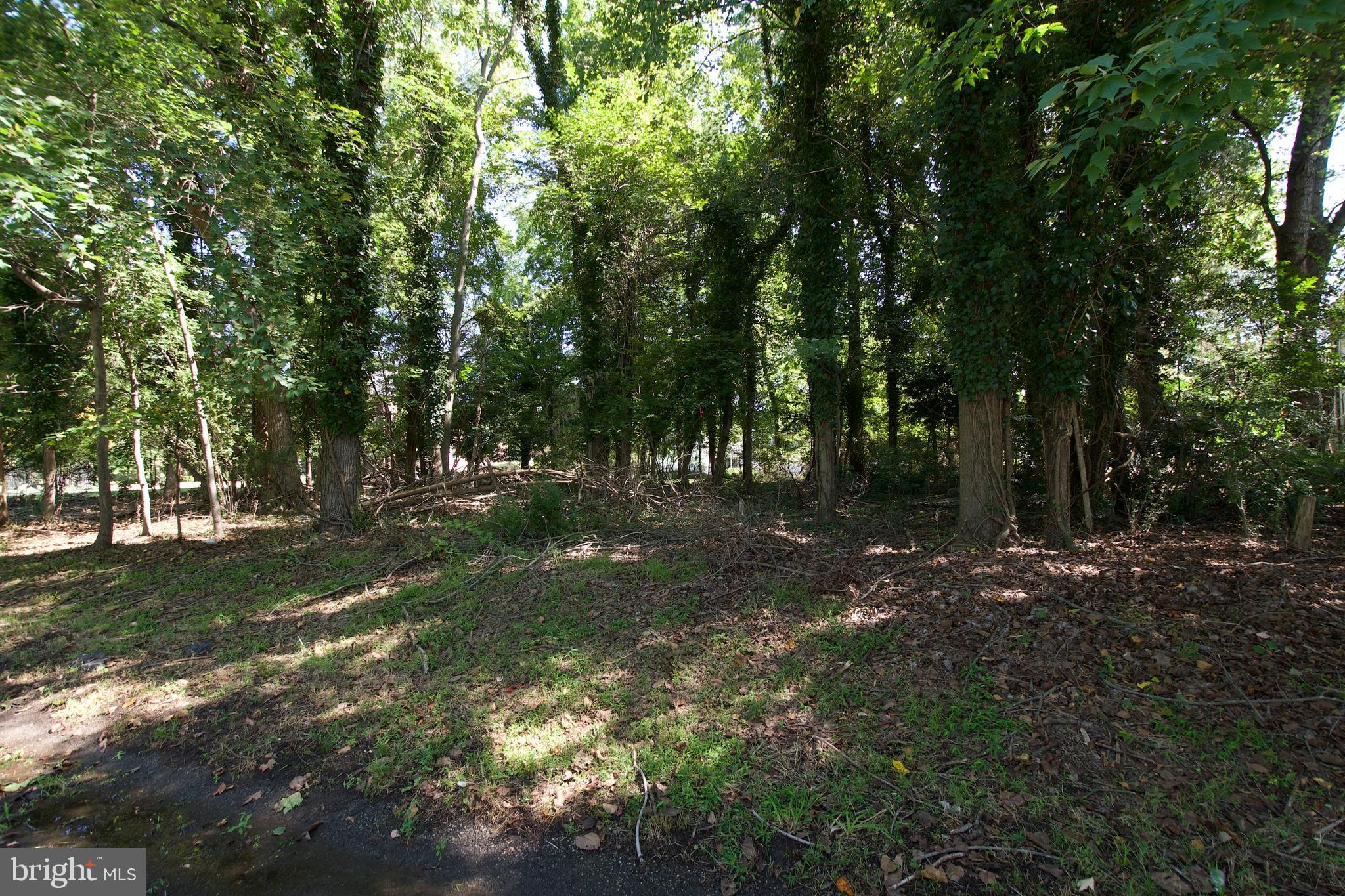 12304 Hatton Point Road Fort Washington, MD 20744 - Photo 3 of 10