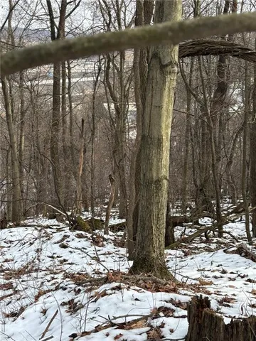 $110,000 | 0 Front Road, Monaca, PA 15061