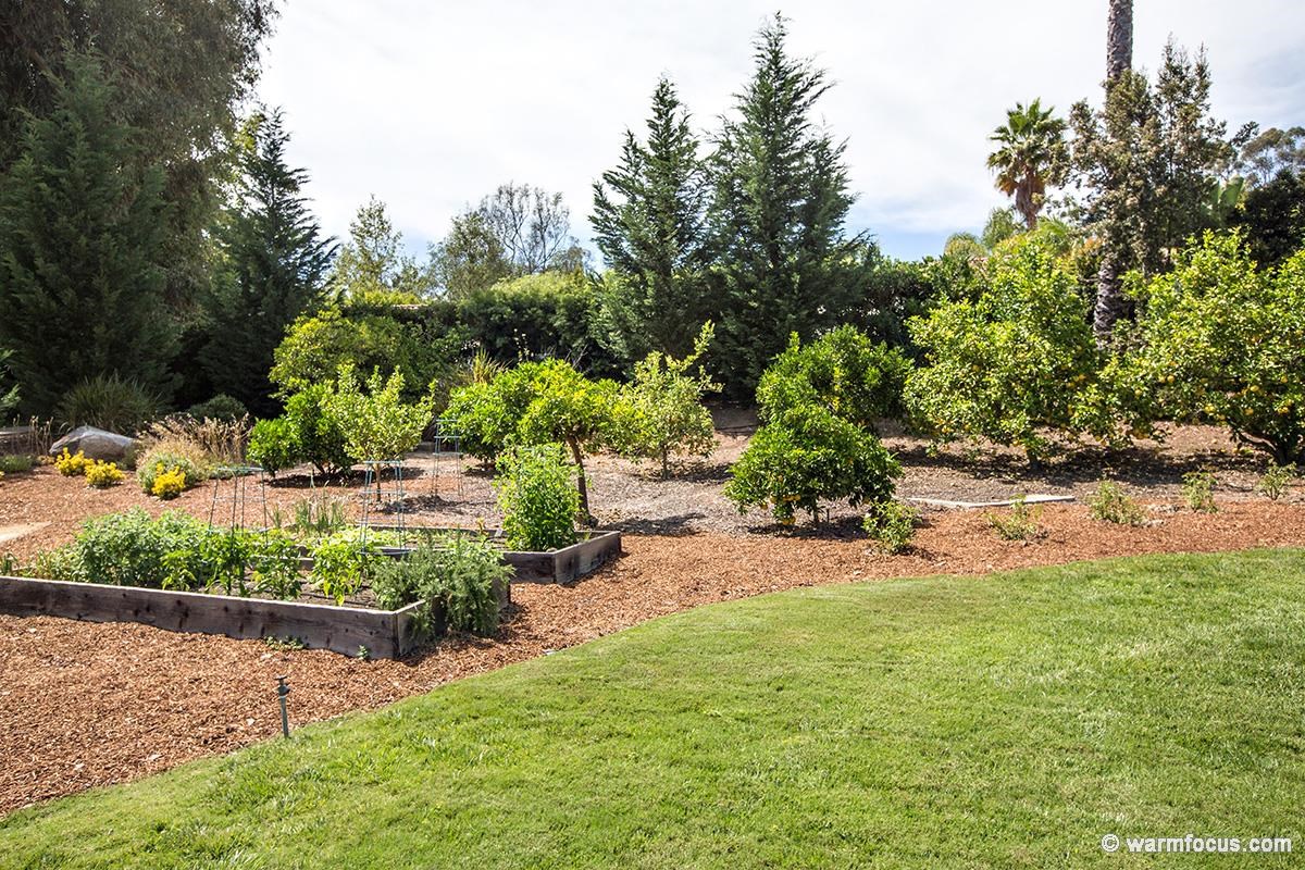 6247 Mimulus Rancho Santa Fe, CA 92067 - Photo 22 of 25