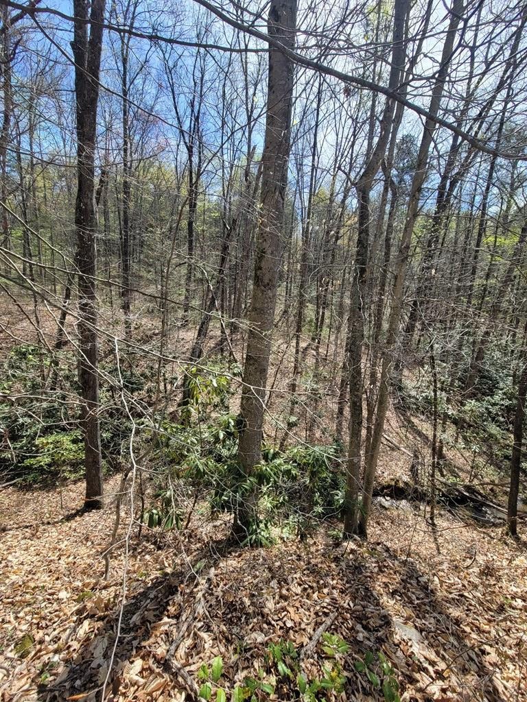 31 Butternut Lane Sevierville, TN 37876 - Photo 12 of 20