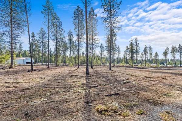 $125,000 | Lot 2 Southshore Diamond Lake Road, Newport, WA 99156