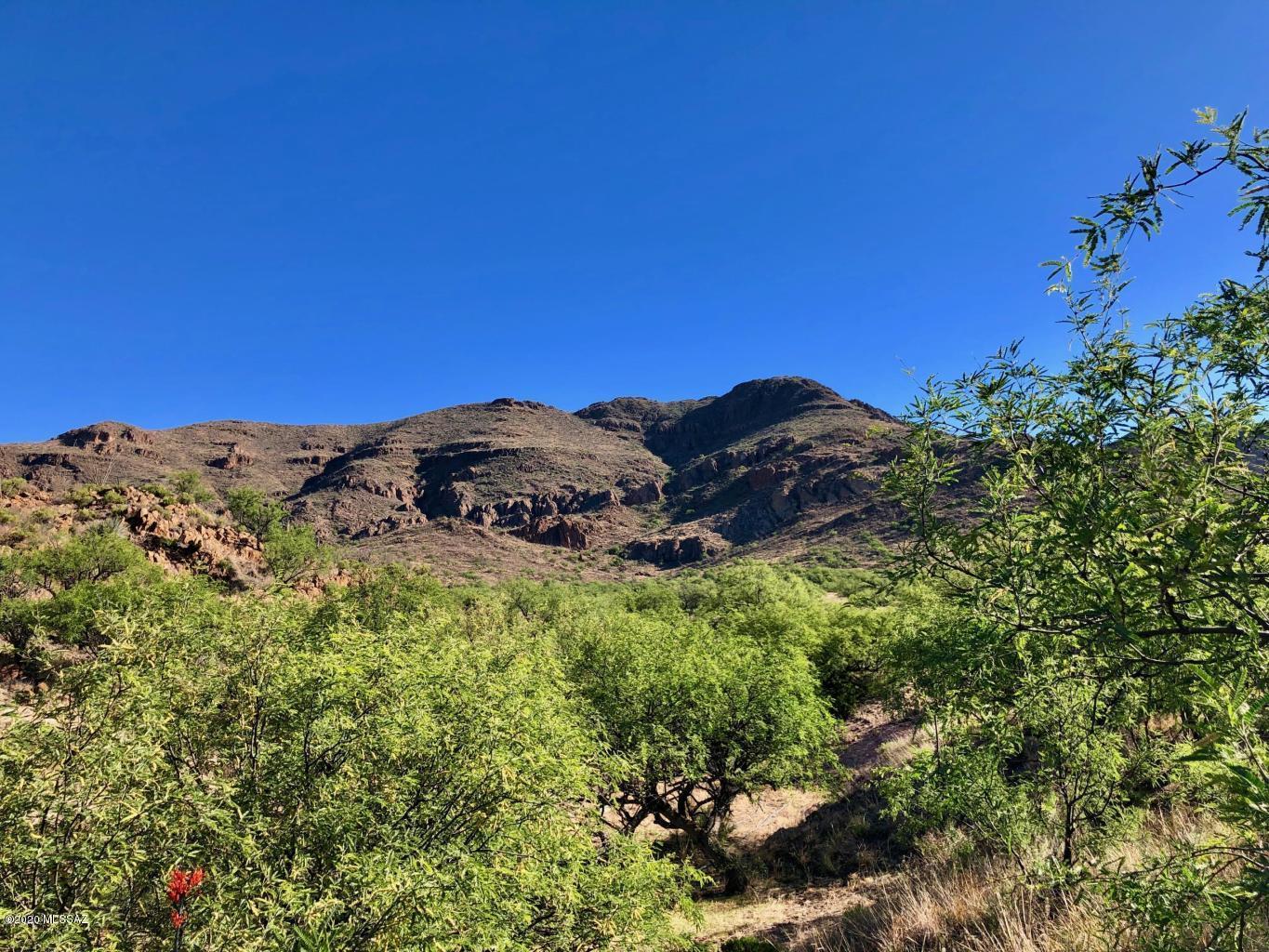 89 Grosvenor Road, Unit 140 Rio Rico, AZ 85648 - Photo 2 of 12 Gallery Image 2