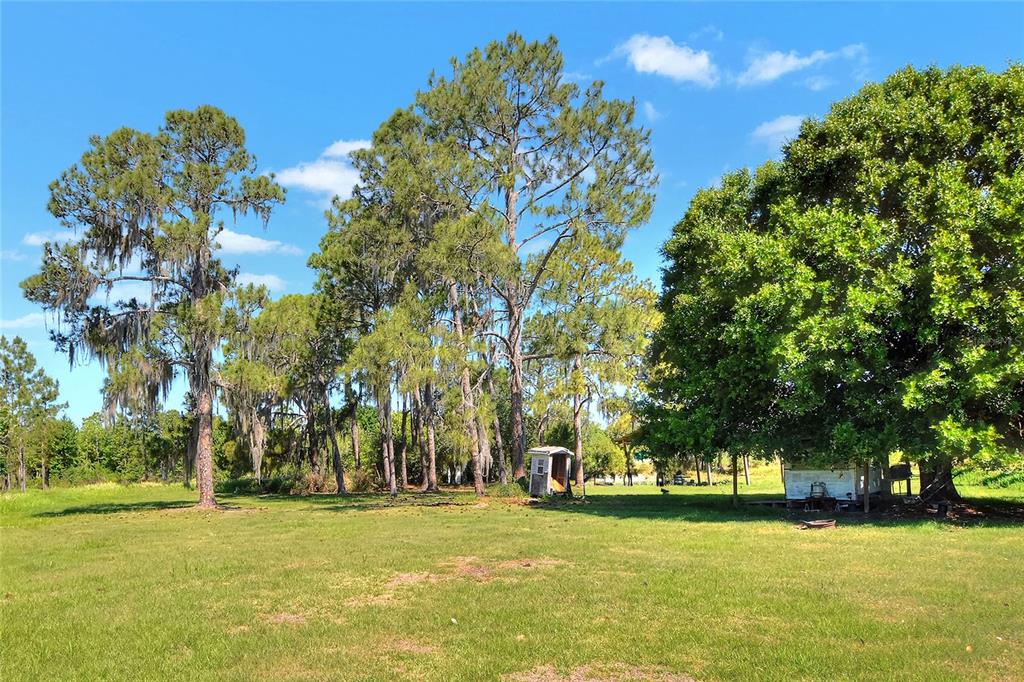 0 Lake Buffum Road West Fort Meade, FL 33841 - Photo 5 of 11