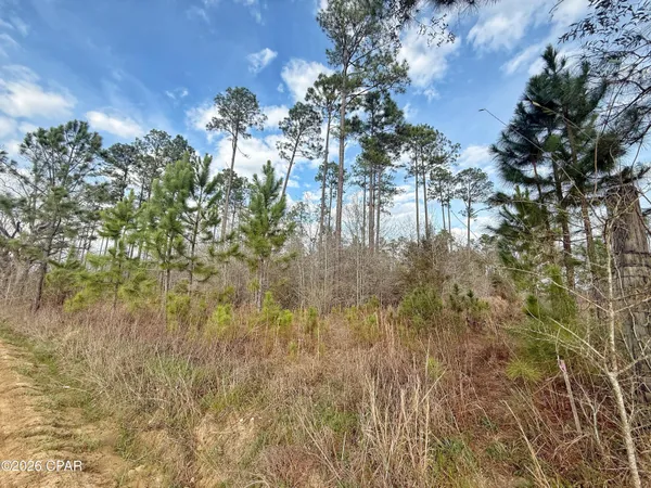 $100,000 | 0 Palmview Road, Cottondale, FL 32431