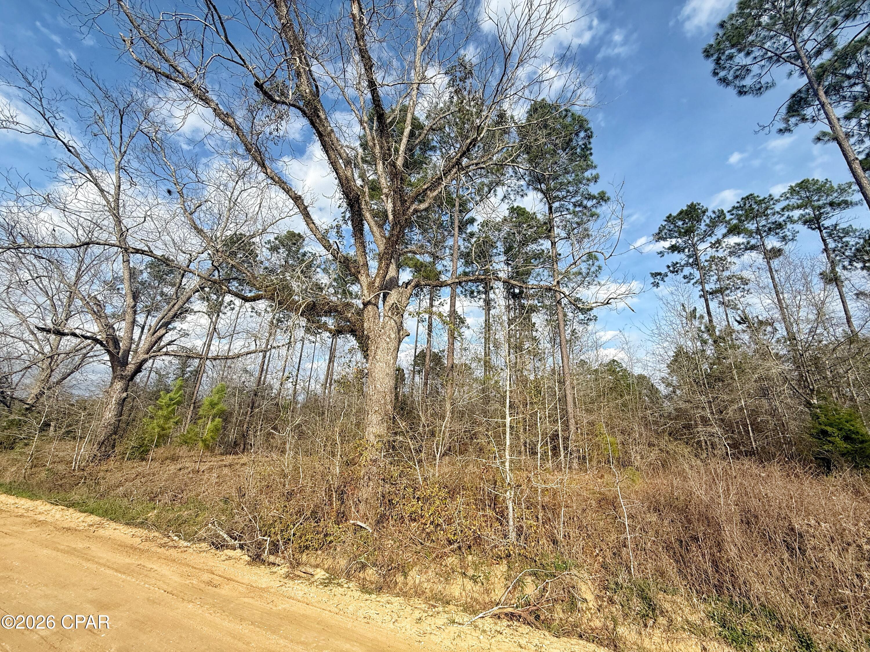 0 Palmview Road Cottondale, FL 32431 - Photo 2 of 5