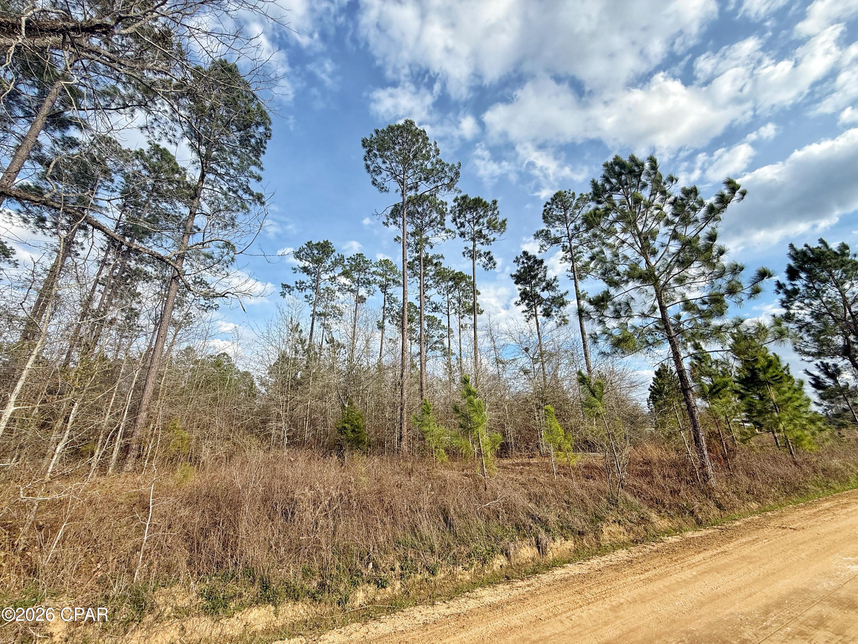 0 Palmview Road Cottondale, FL 32431 - Photo 3 of 5
