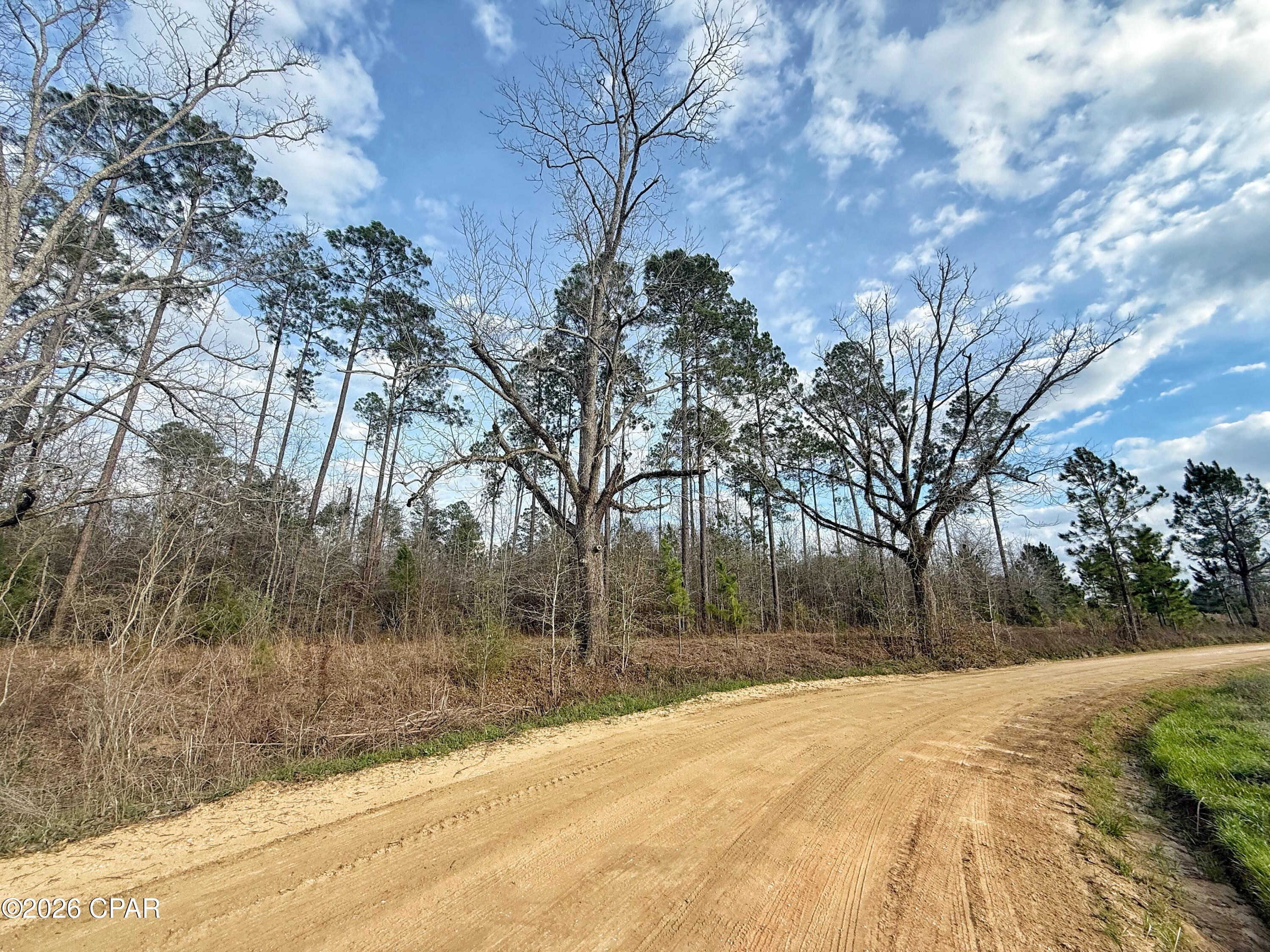 0 Palmview Road Cottondale, FL 32431 - Photo 5 of 5