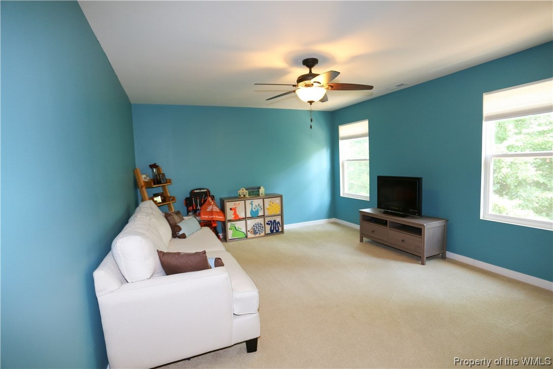 176 Braddock Road Williamsburg, VA 23185 - Photo 34 of 50 Gallery Image 34