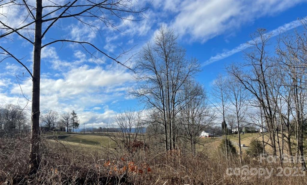982 Fletcher Martin Road Alexander, NC 28701 - Photo 4 of 45 Gallery Image 4