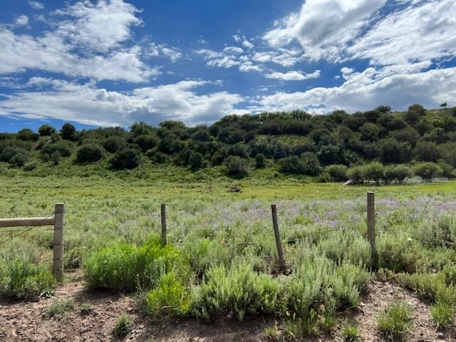 69855 E Highway Collbran, CO 81624 - Photo 12 of 41 a view of a lush green forest