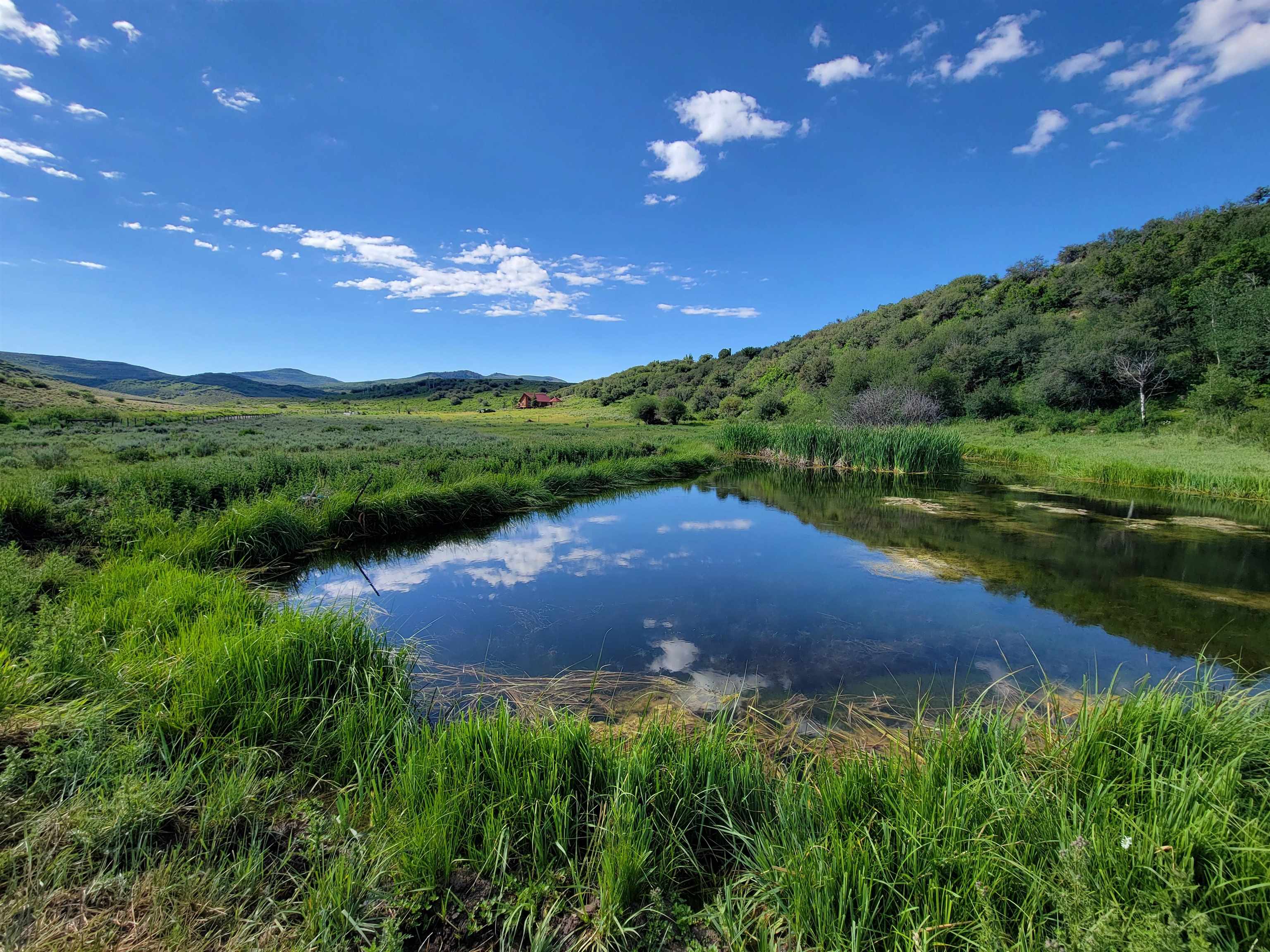 69855 E Highway Collbran, CO 81624 - Photo 3 of 41 a view of a street both of side of green space
