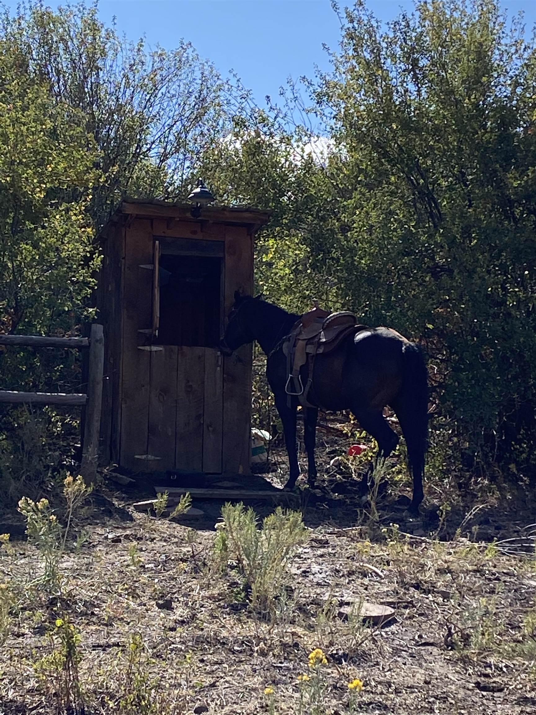 69855 E Highway Collbran, CO 81624 - Photo 37 of 41 a view of a barn with a yard