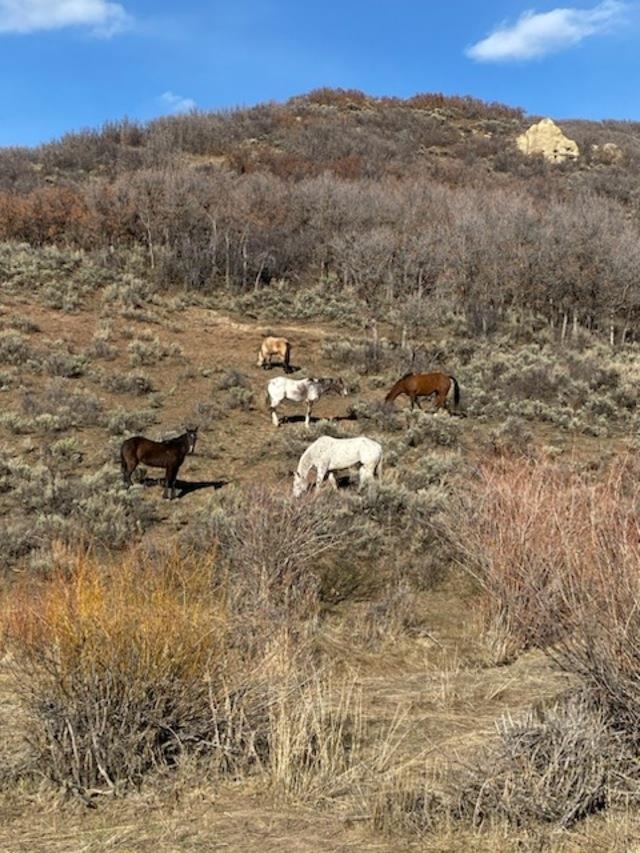 69855 E Highway Collbran, CO 81624 - Photo 38 of 41 a view of a lake view