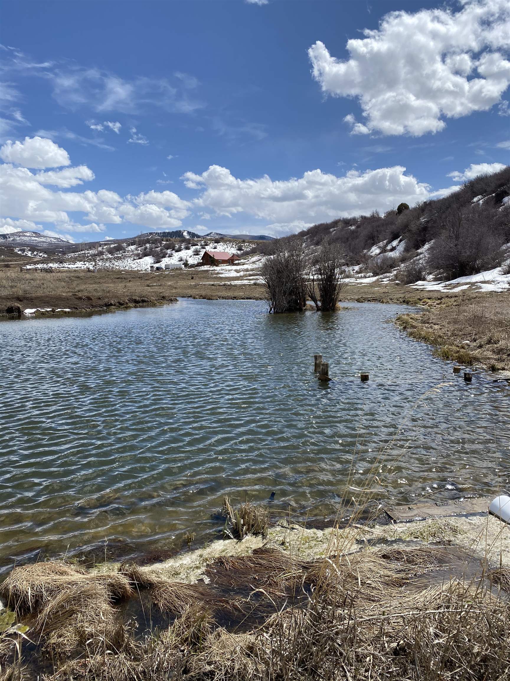 69855 E Highway Collbran, CO 81624 - Photo 39 of 41 a view of lake