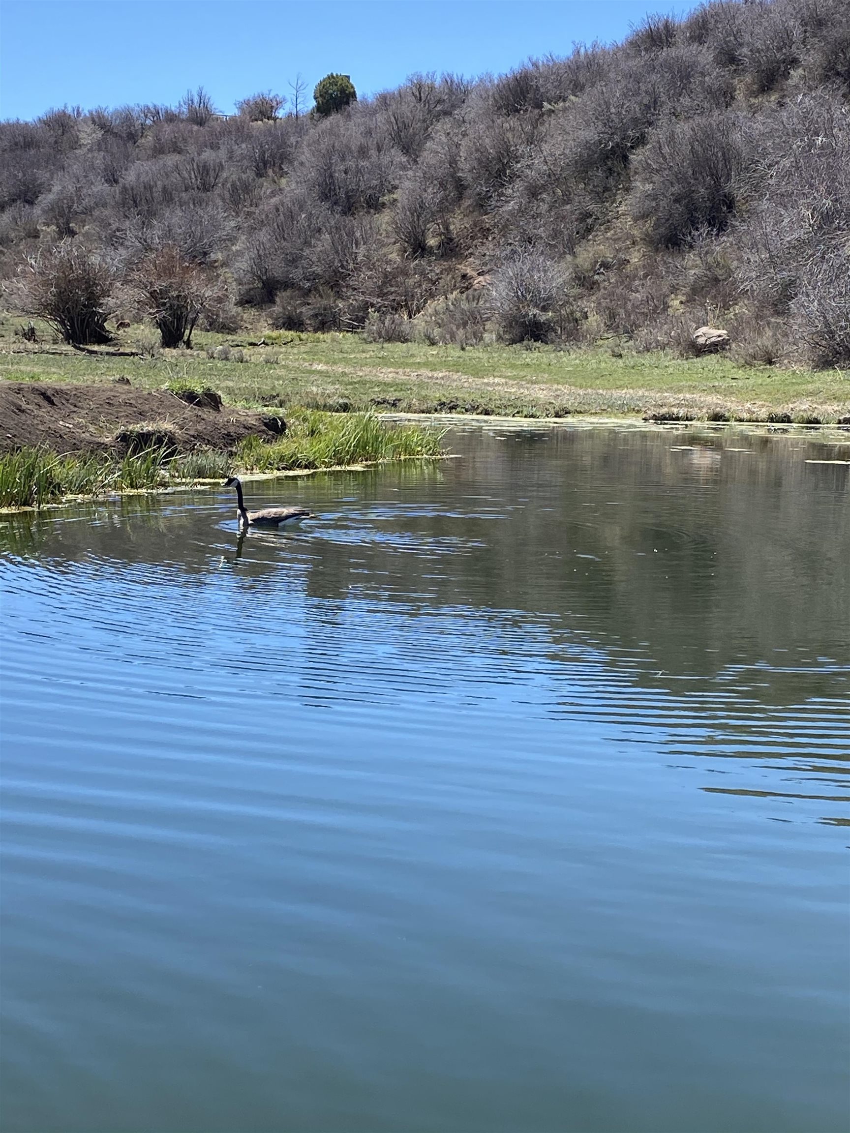 69855 E Highway Collbran, CO 81624 - Photo 40 of 41 a view of lake view and mountain view