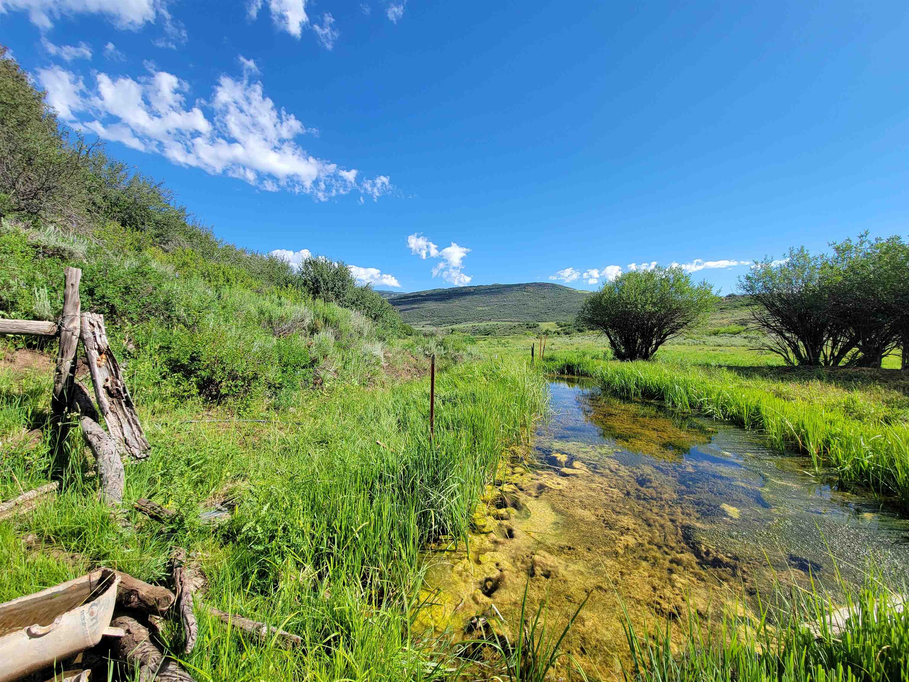 69855 E Highway Collbran, CO 81624 - Photo 4 of 41 a view of a pathway both side of green space