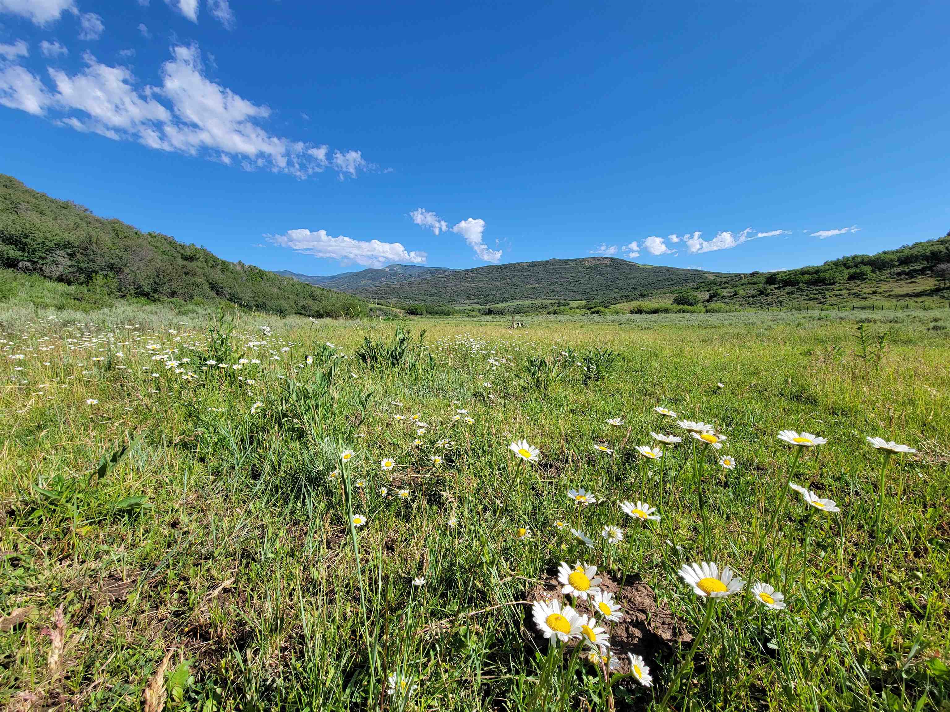 69855 E Highway Collbran, CO 81624 - Photo 8 of 41