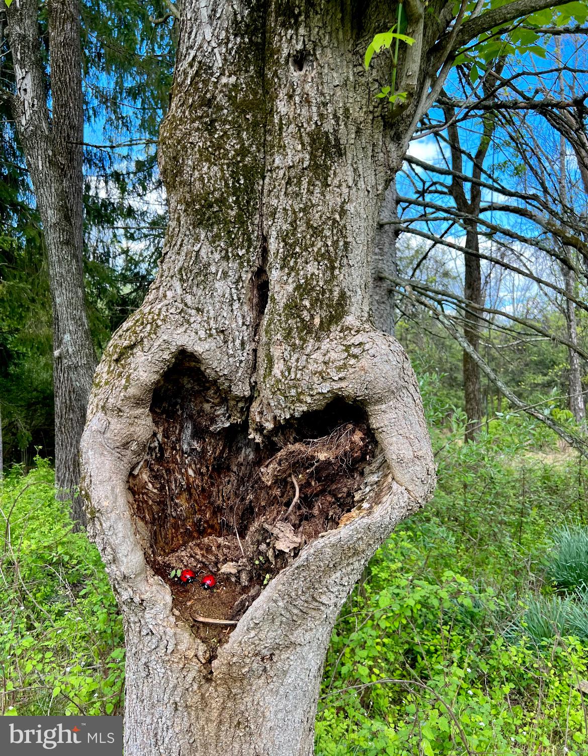 332 South Sugan Road New Hope, PA 18938 - Photo 55 of 55