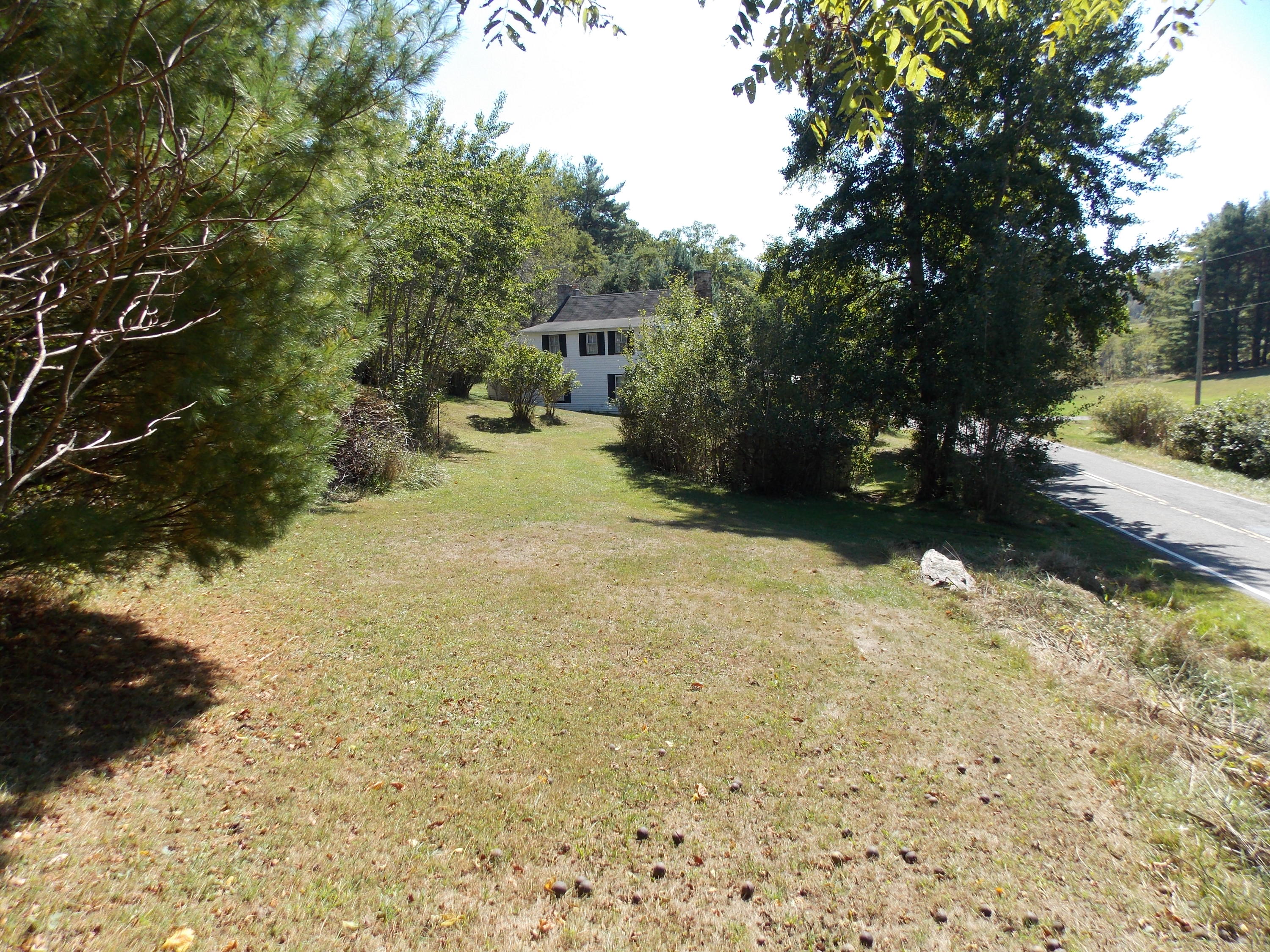 1087 Conner Grove Road Southwest Willis, VA 24380 - Photo 14 of 28 a view of a yard with plants and trees