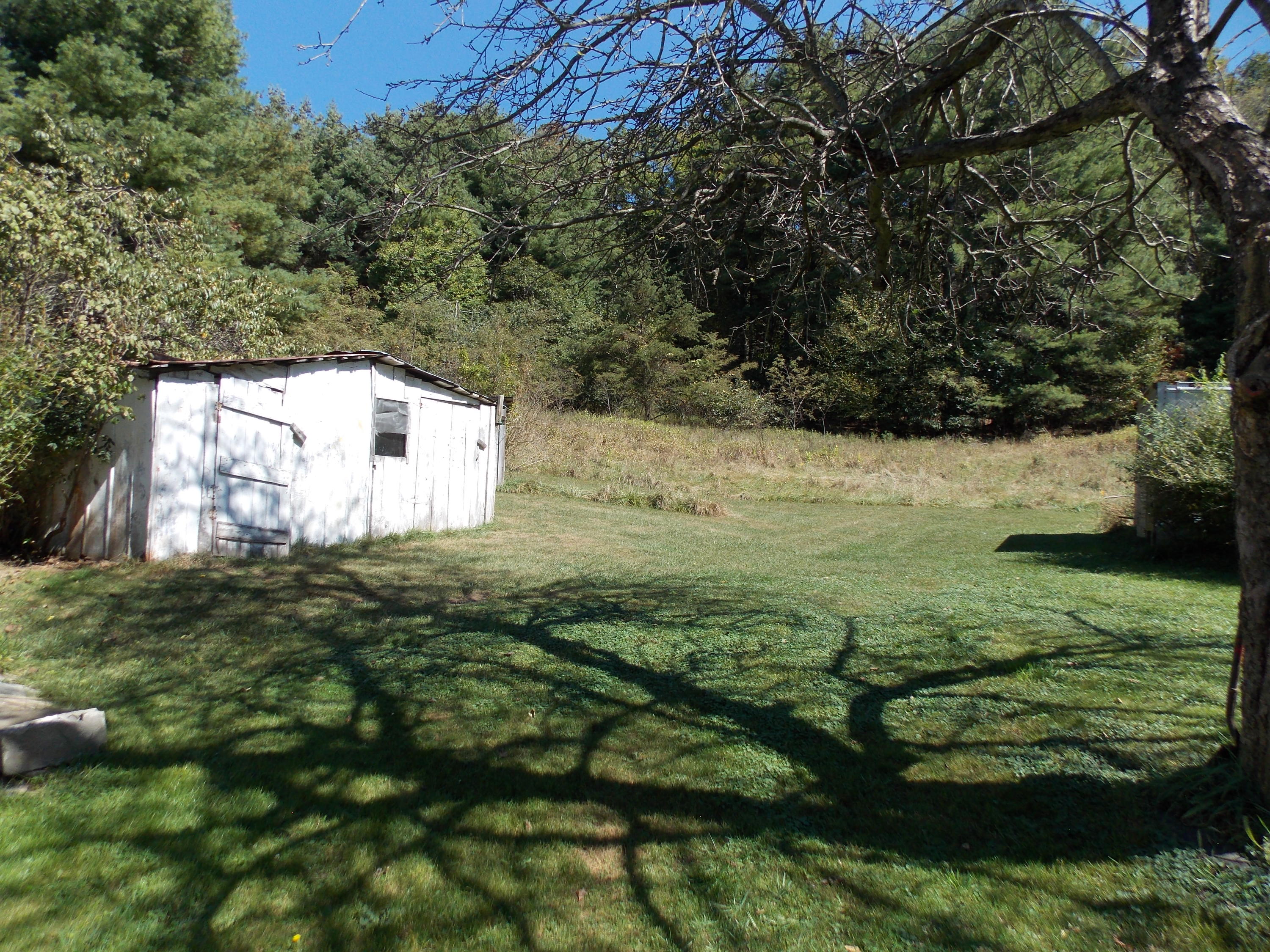 1087 Conner Grove Road Southwest Willis, VA 24380 - Photo 7 of 28 a view of a green yard with large trees
