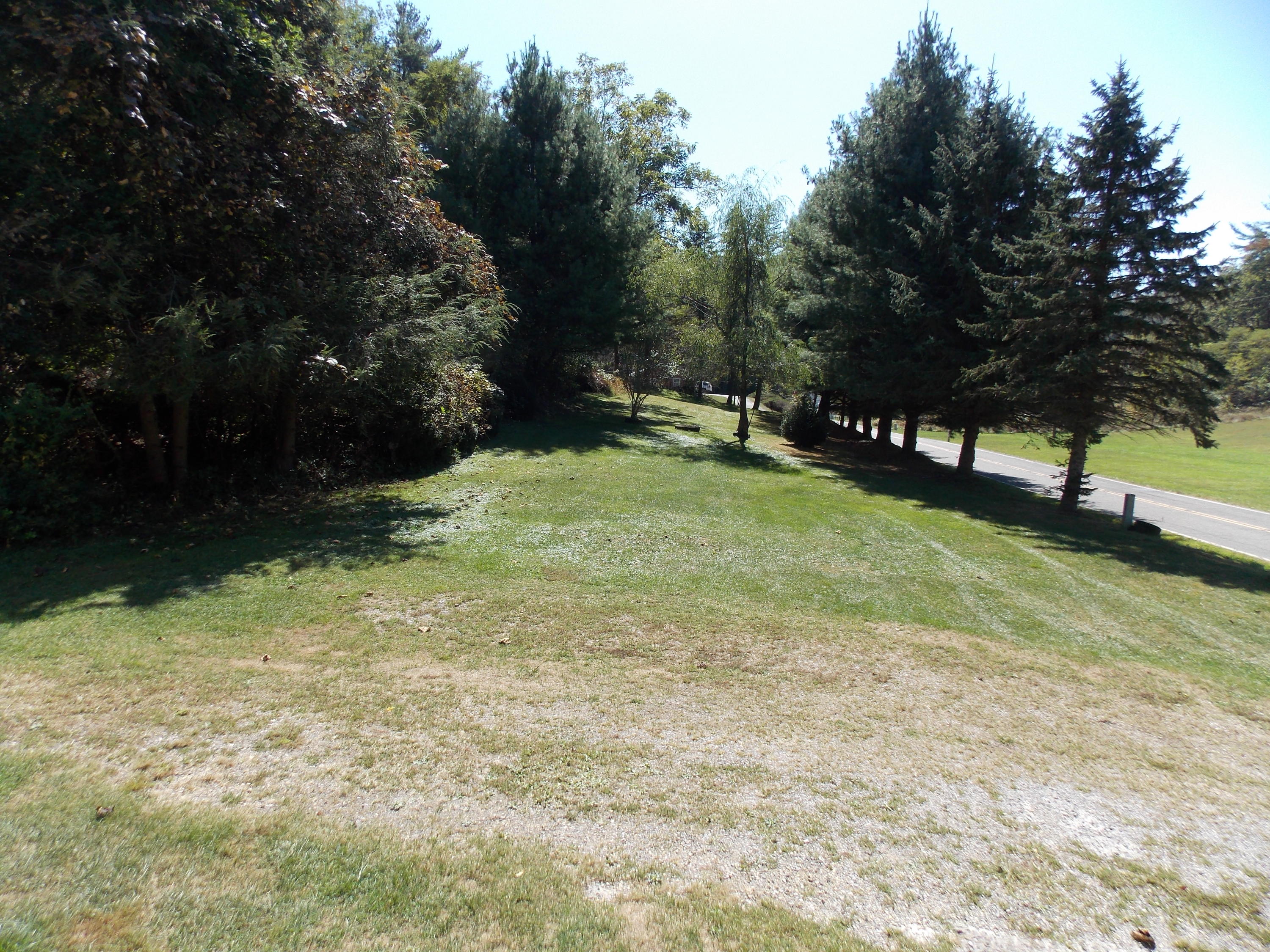 1087 Conner Grove Road Southwest Willis, VA 24380 - Photo 8 of 28 a view of backyard with green space