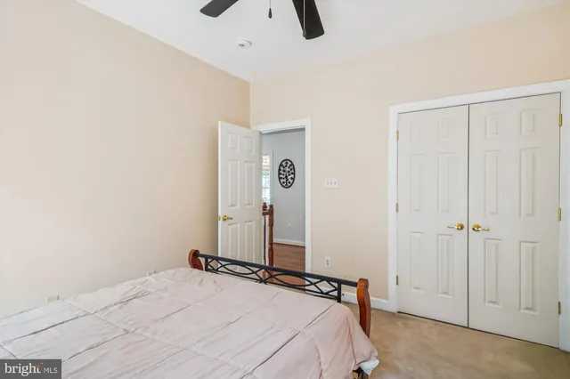 a view of a park with entertaining space