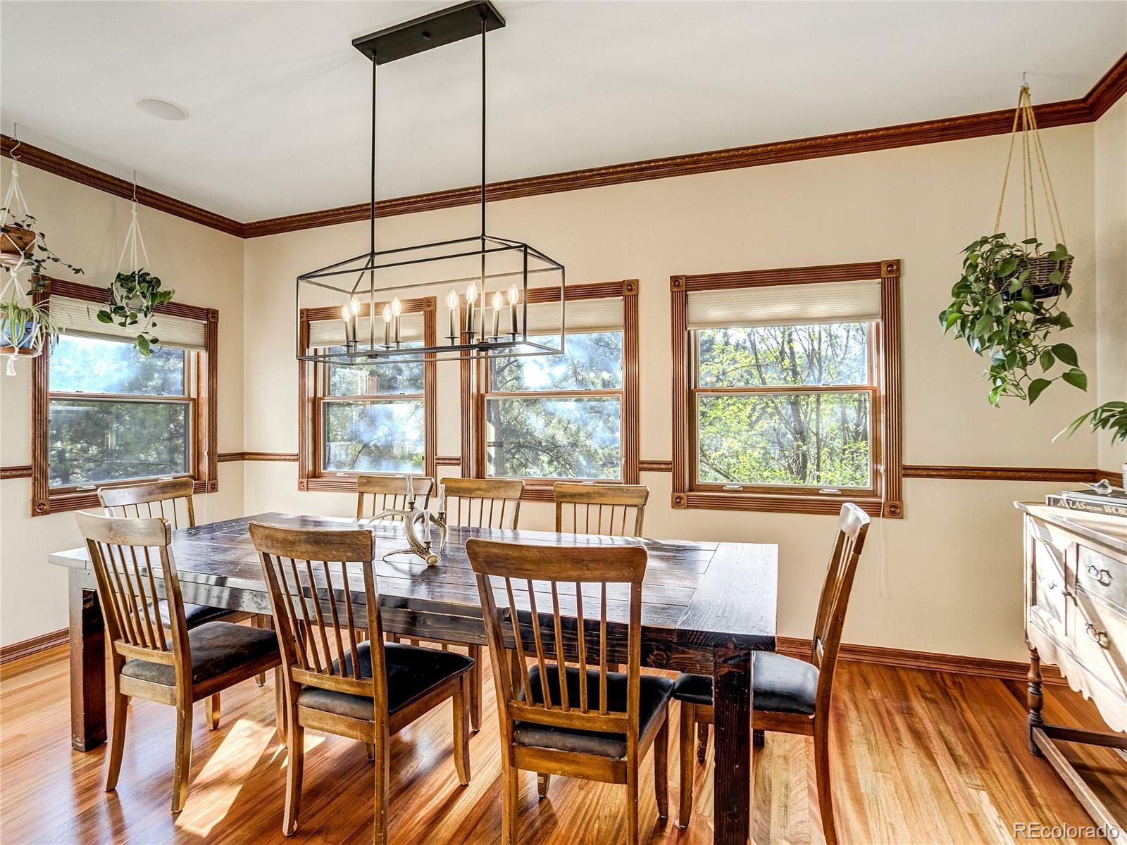 4660 Hagerman Road Cascade, CO 80809 - Photo 6 of 50