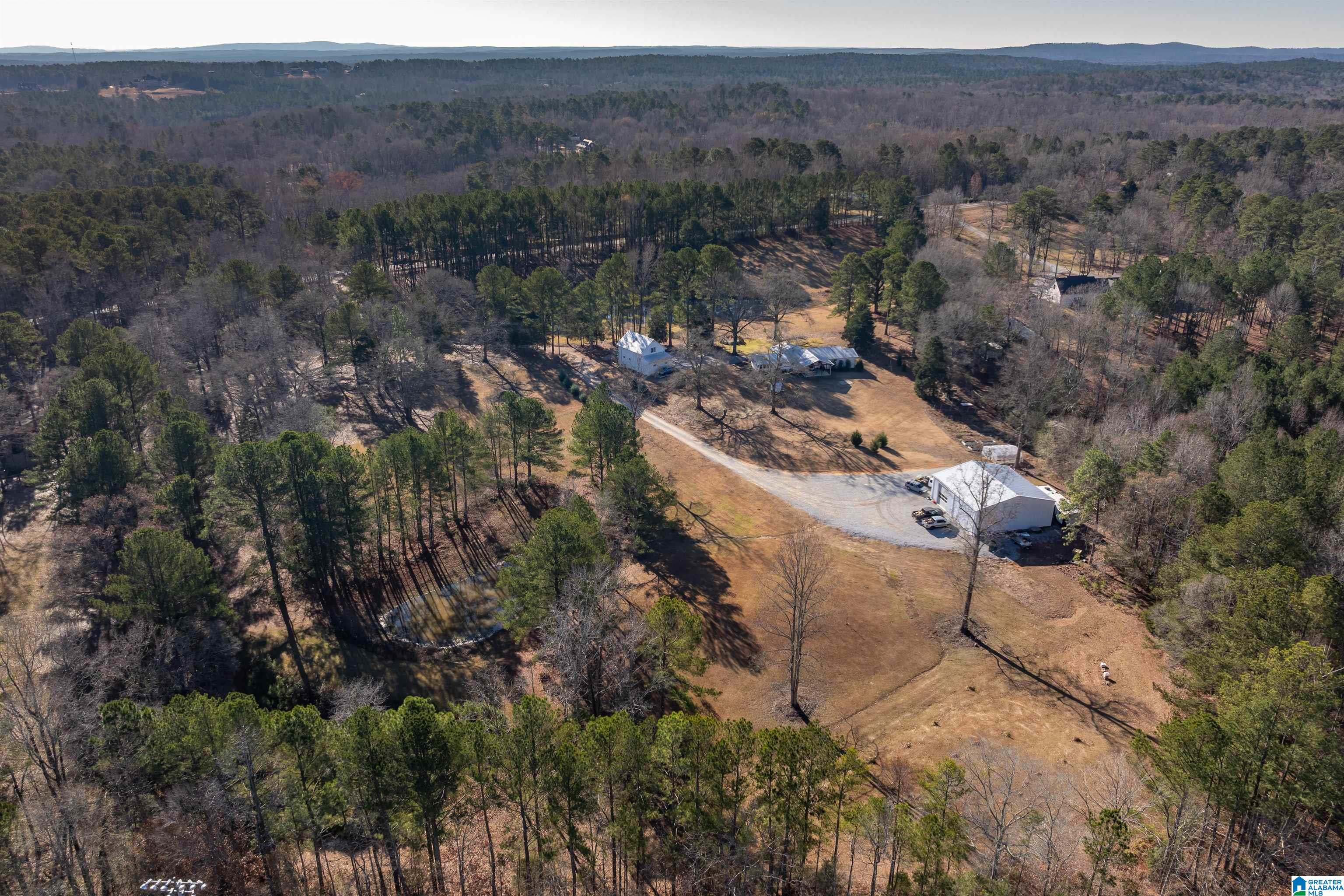 3342 County Road 39 Chelsea, AL 35043 - Photo 50 of 63