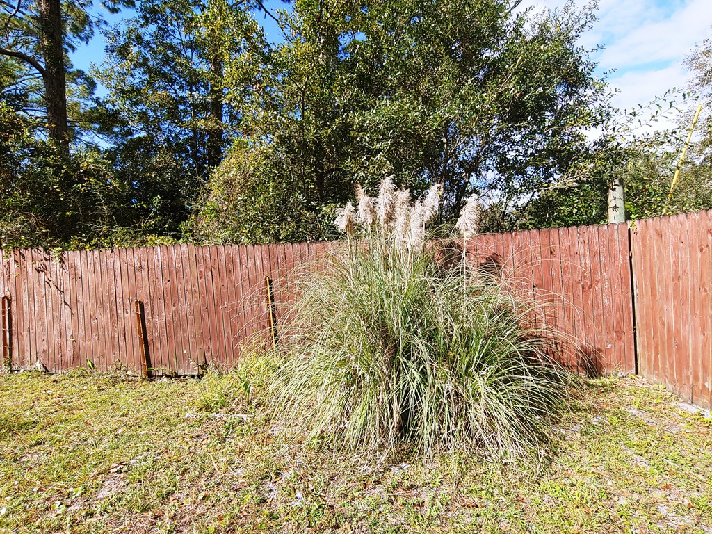 44 Gibson Road Apalachicola, FL 32320 - Photo 37 of 38