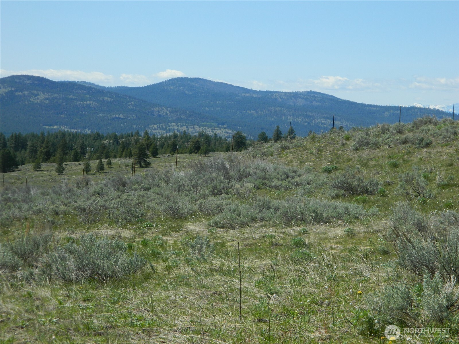 0 High Country Drive West Tonasket, WA 98855 - Photo 30 of 37 a view of a lush green hillside and a houses