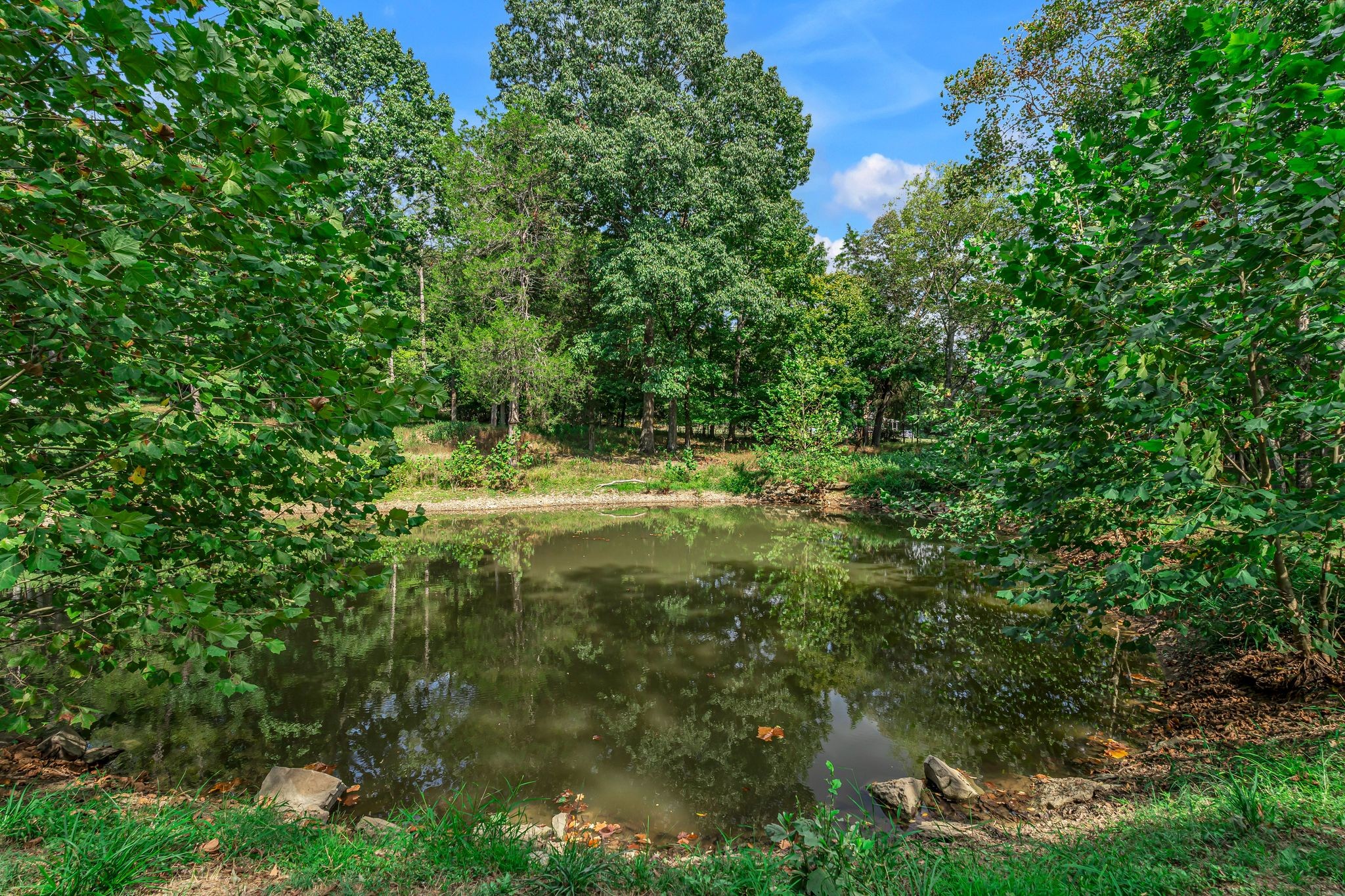 3250 Freeman Hollow Road Goodlettsville, TN 37072 - Photo 49 of 77 Gallery Image 49