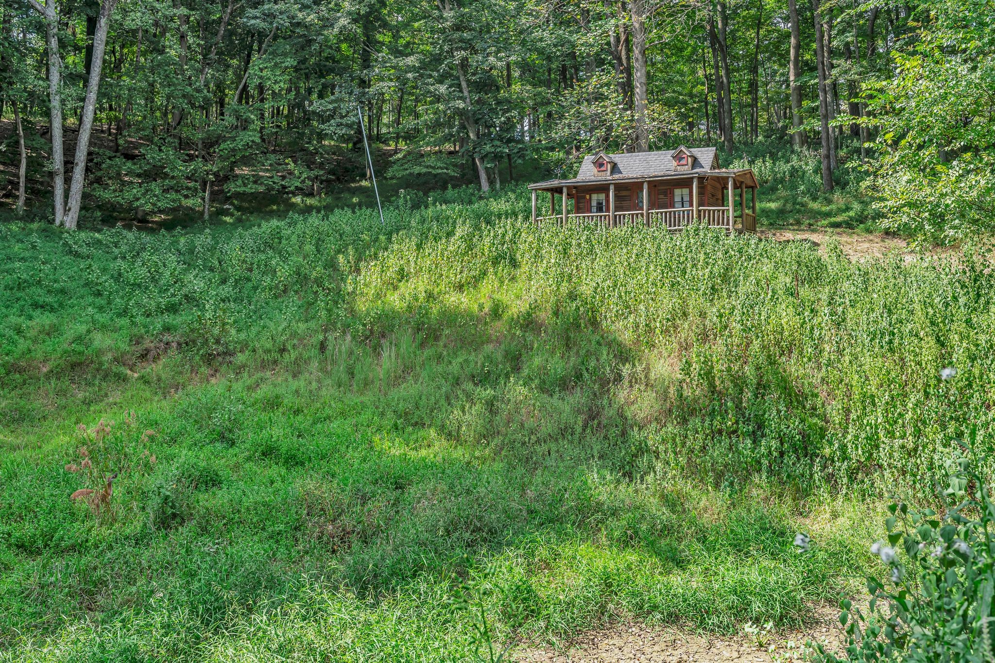 3250 Freeman Hollow Road Goodlettsville, TN 37072 - Photo 53 of 77 Gallery Image 53