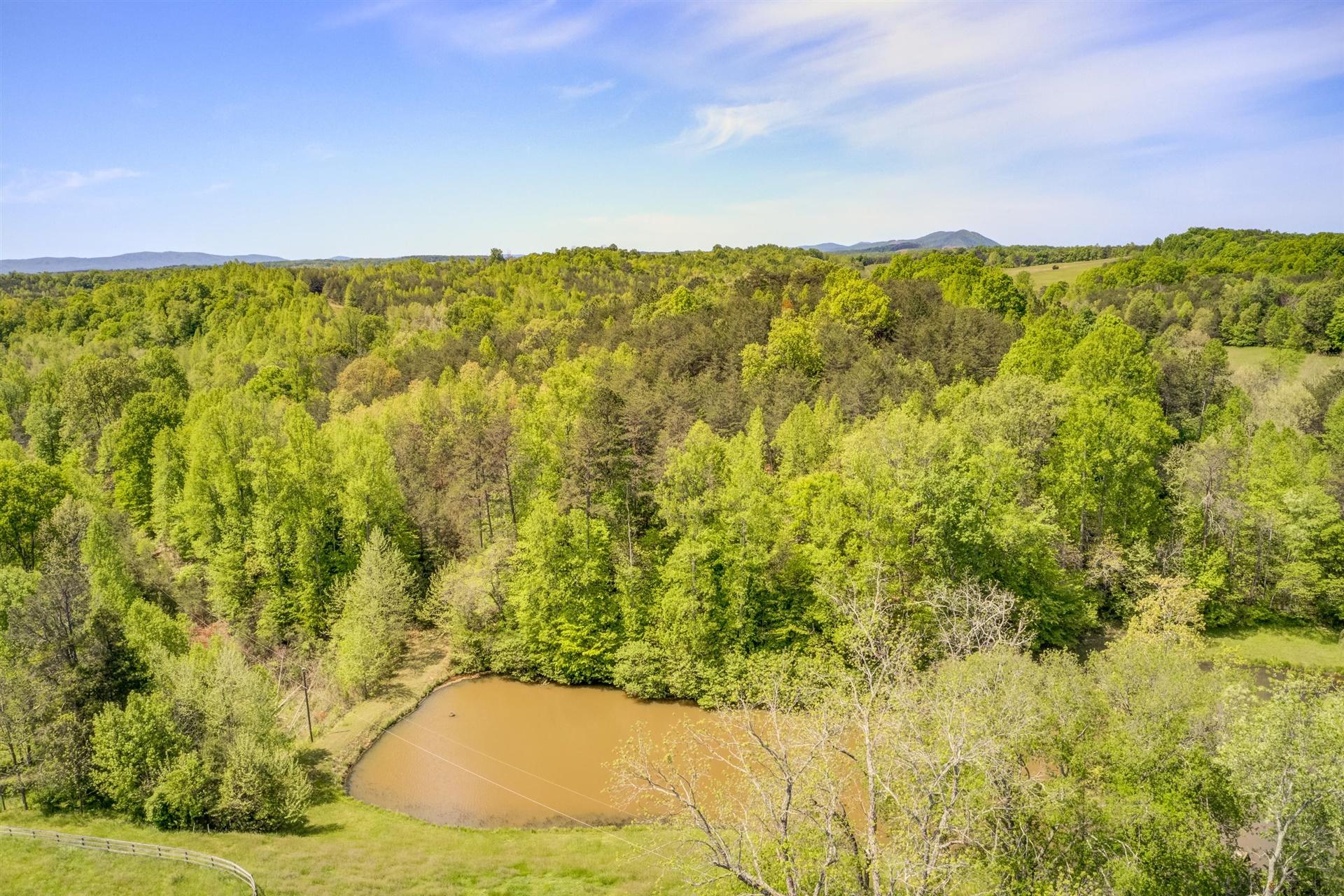 1187 Ramsey Memorial Road Penhook, VA 24137 - Photo 90 of 99 90-21-1187 Ramsey Memorial Rd-0372-