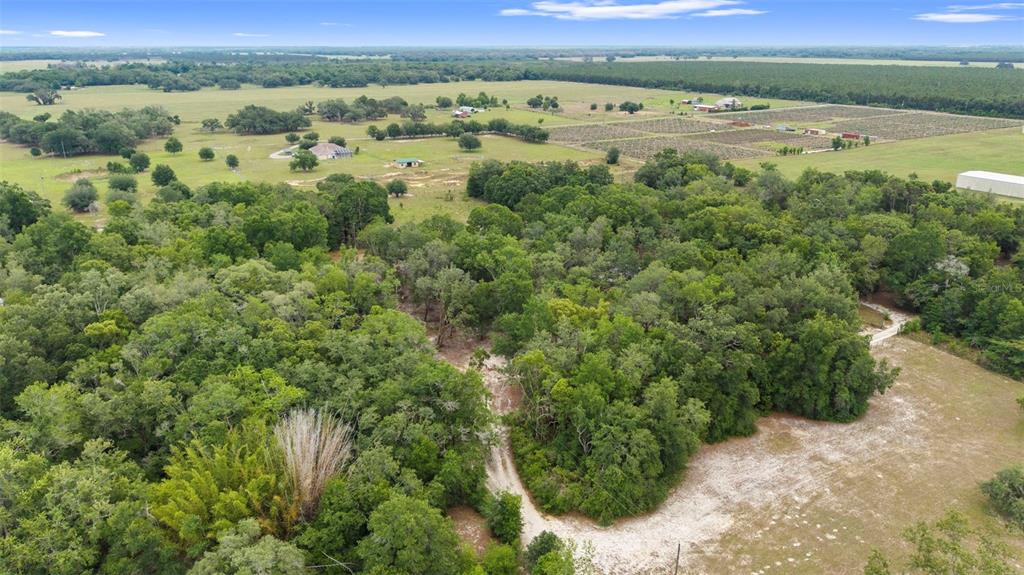 18330 Booming Road Spring Hill, FL 34610 - Photo 44 of 48
