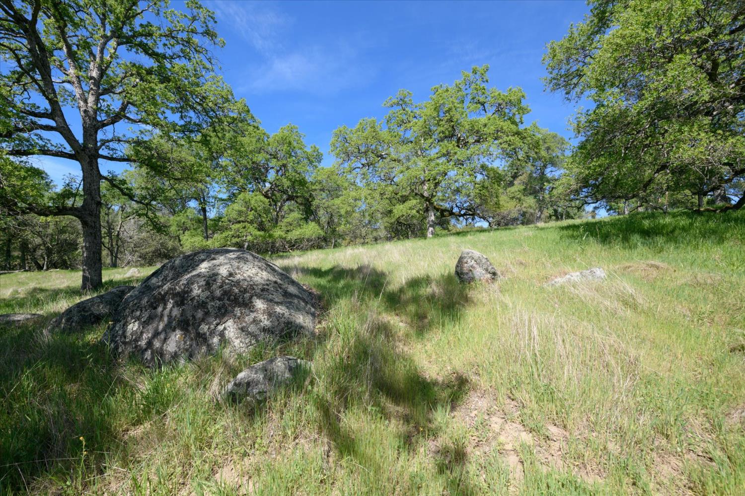 3460 Almosta Road Placerville, CA 95667 - Photo 3 of 18 Beautiful Moss Rock Outcroppings