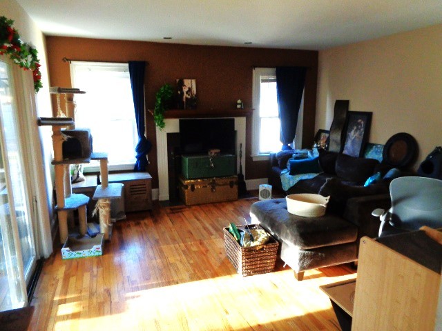415 May Street Rockford, IL 61104 - Photo 8 of 13 a living room with furniture and a fireplace