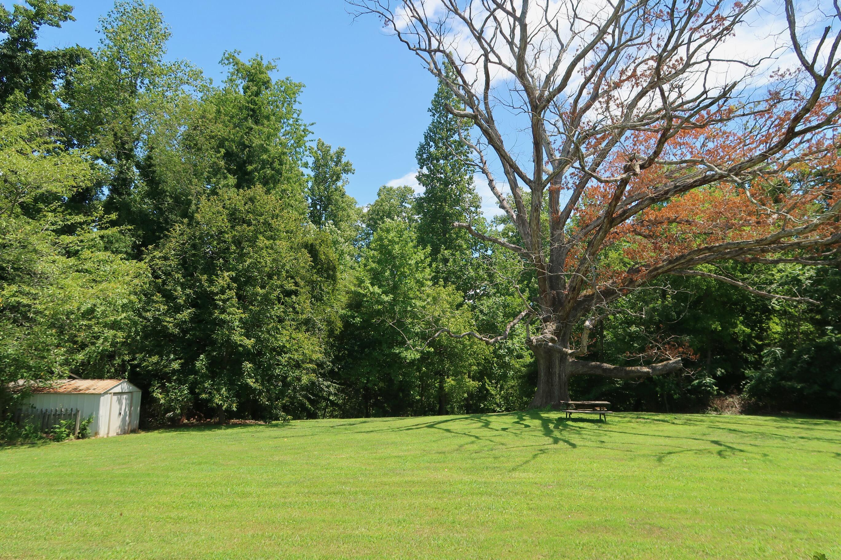 145 Elizabeth Drive Ridgeway, VA 24148 - Photo 41 of 47 41