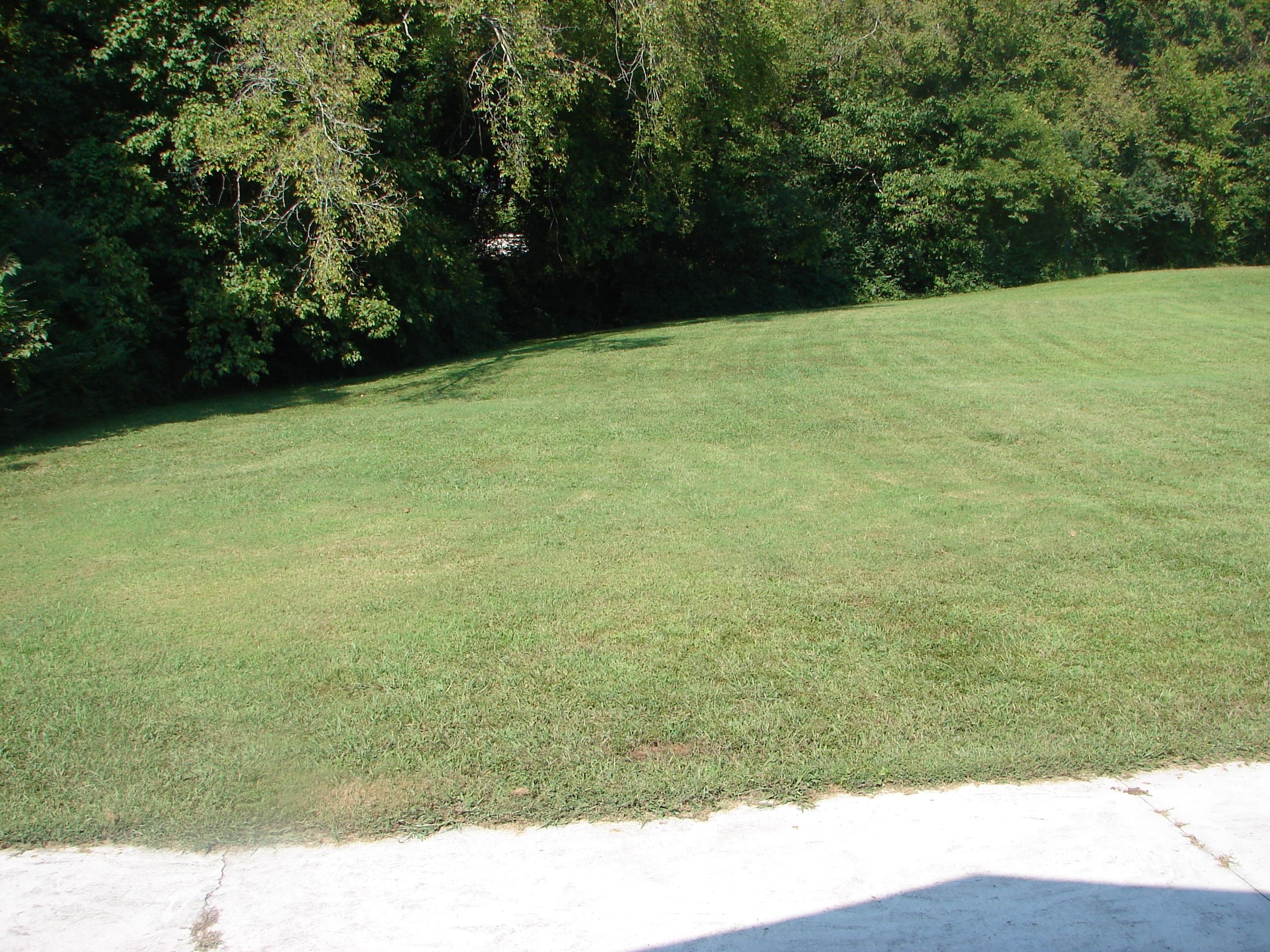 907 Riverbend Road Clinton, TN 37716 - Photo 28 of 35 DSC04352
