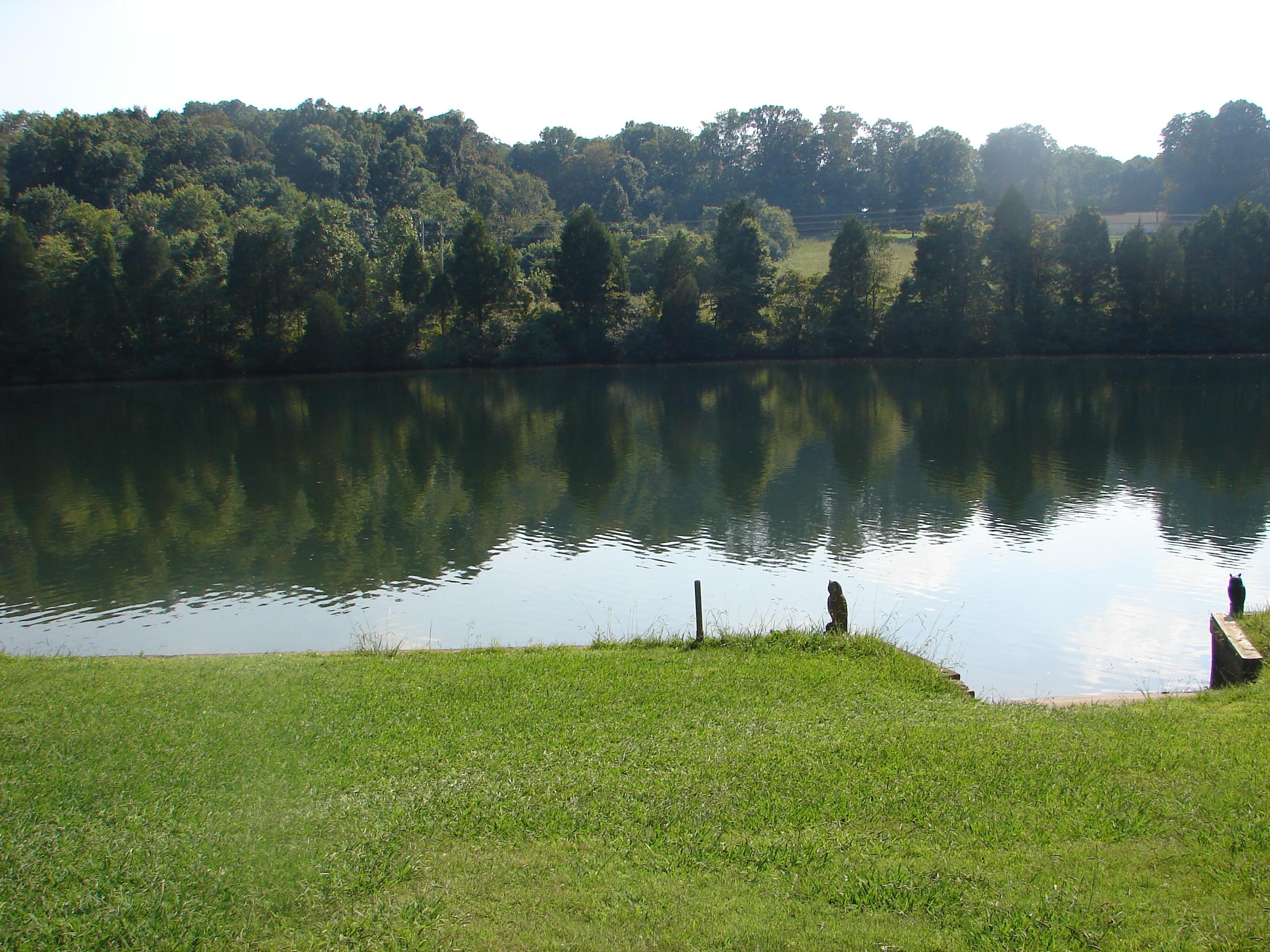 907 Riverbend Road Clinton, TN 37716 - Photo 33 of 35 DSC04357