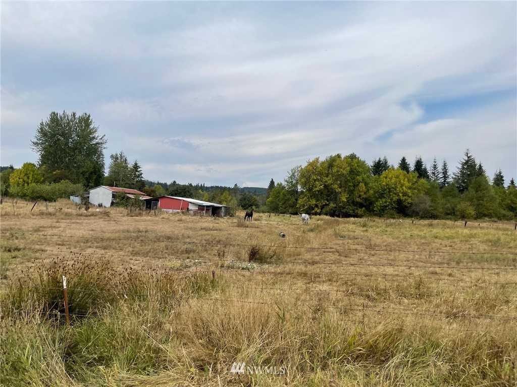504 Shanklin Road Onalaska, WA 98570 - Photo 2 of 6 Gallery Image 2
