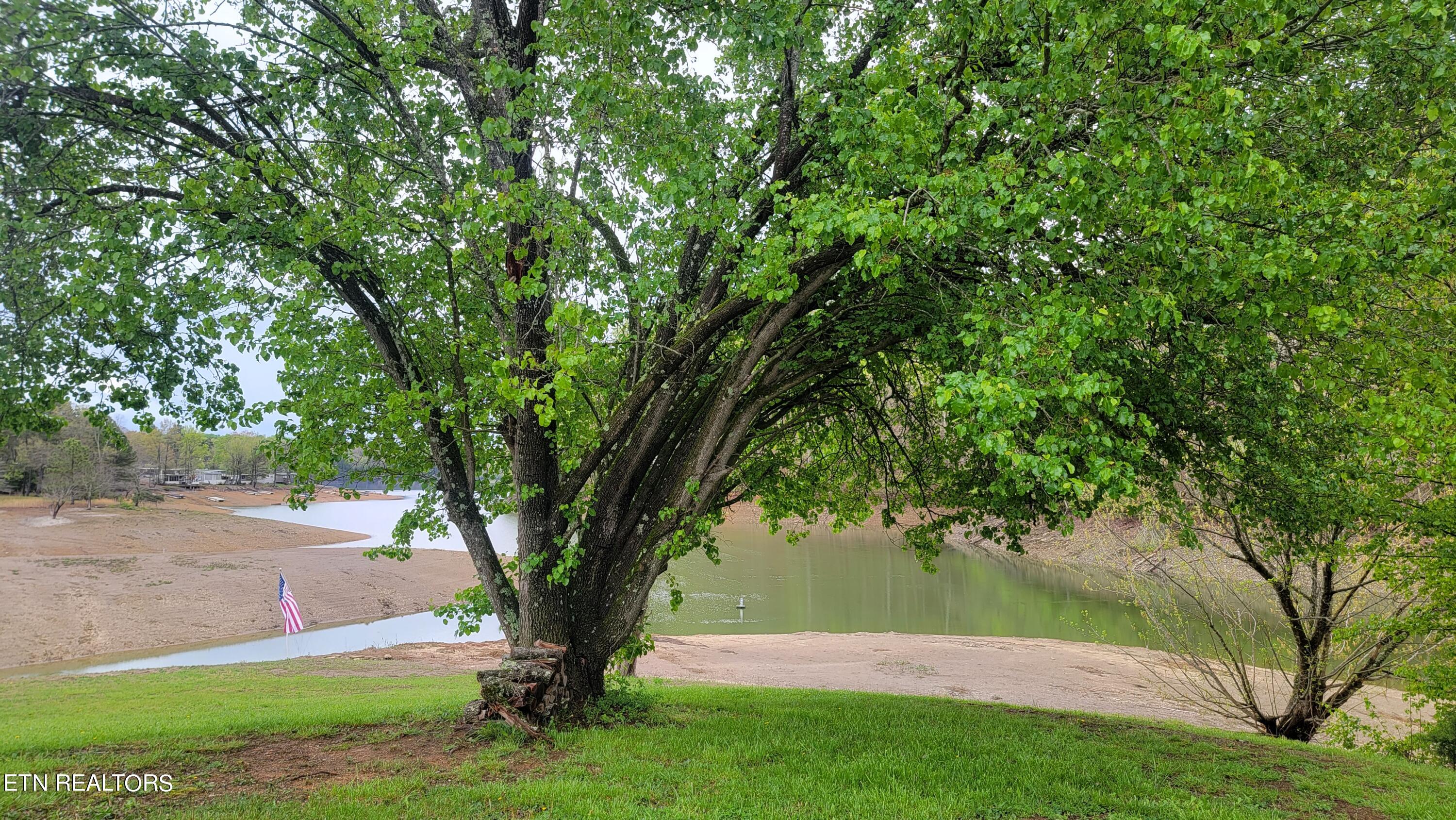 1907 Oak Grove Road Dandridge, TN 37725 - Photo 1 of 14 Shoreline