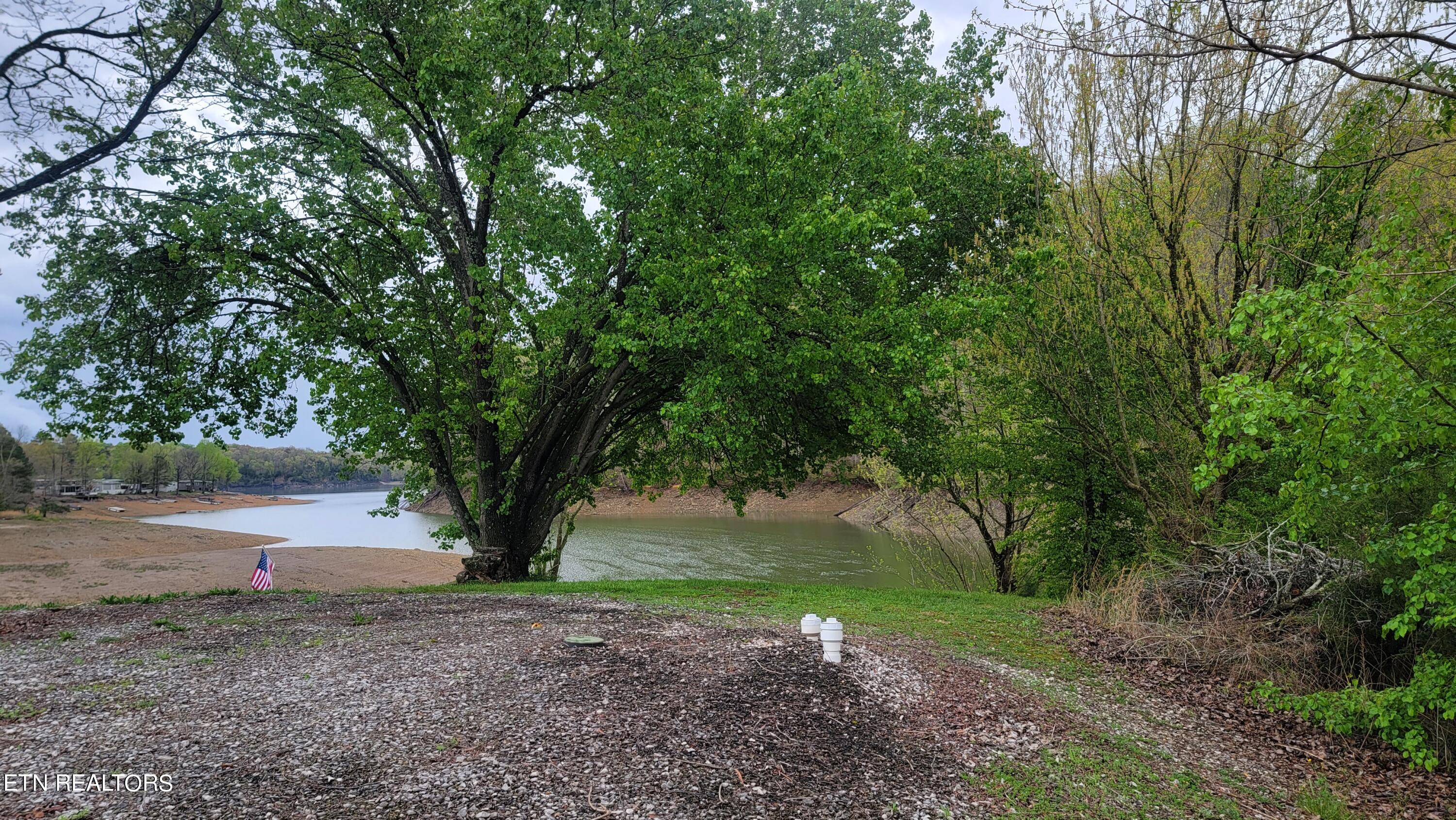 1907 Oak Grove Road Dandridge, TN 37725 - Photo 4 of 14 Home site & shoreline