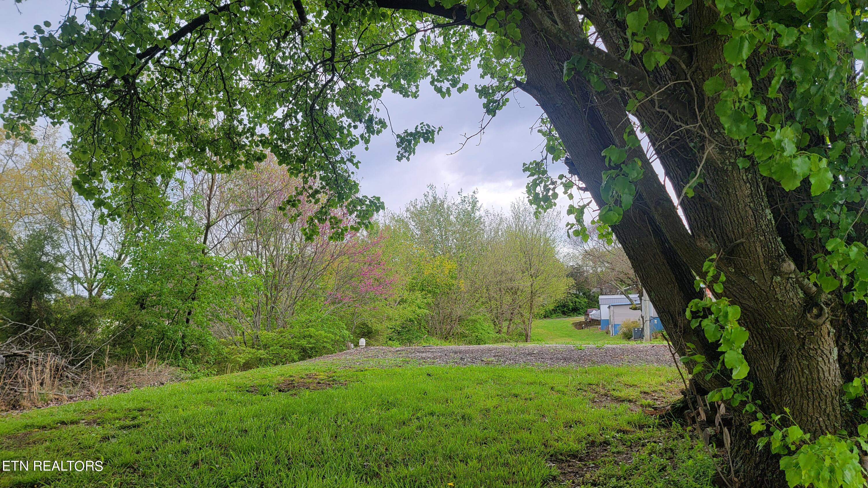 1907 Oak Grove Road Dandridge, TN 37725 - Photo 5 of 14 View from shoreline