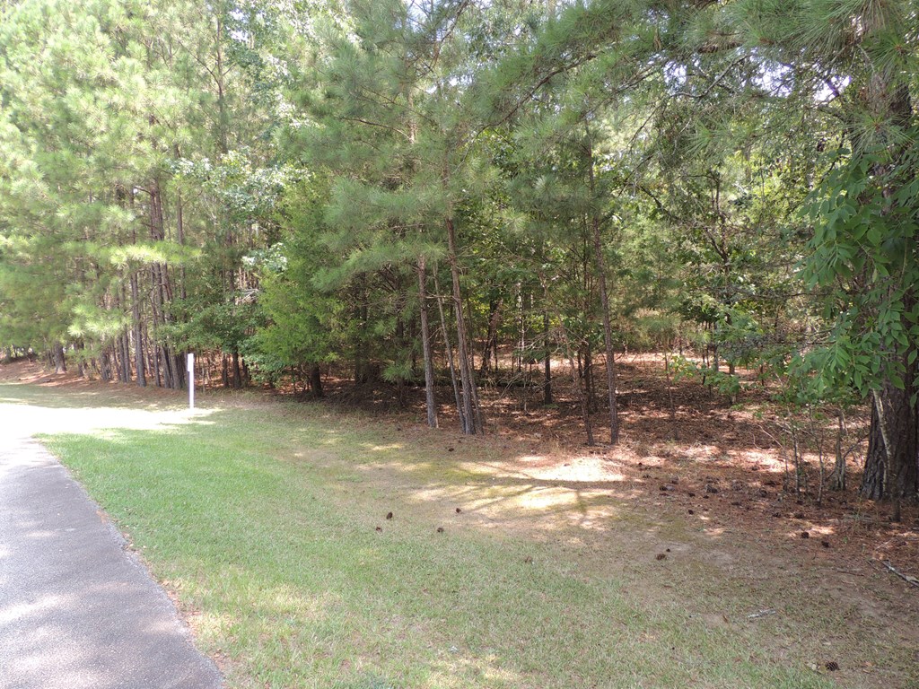 112 Ferry Cove Road Greenwood, SC 29649 - Photo 6 of 30 Gallery Image 6