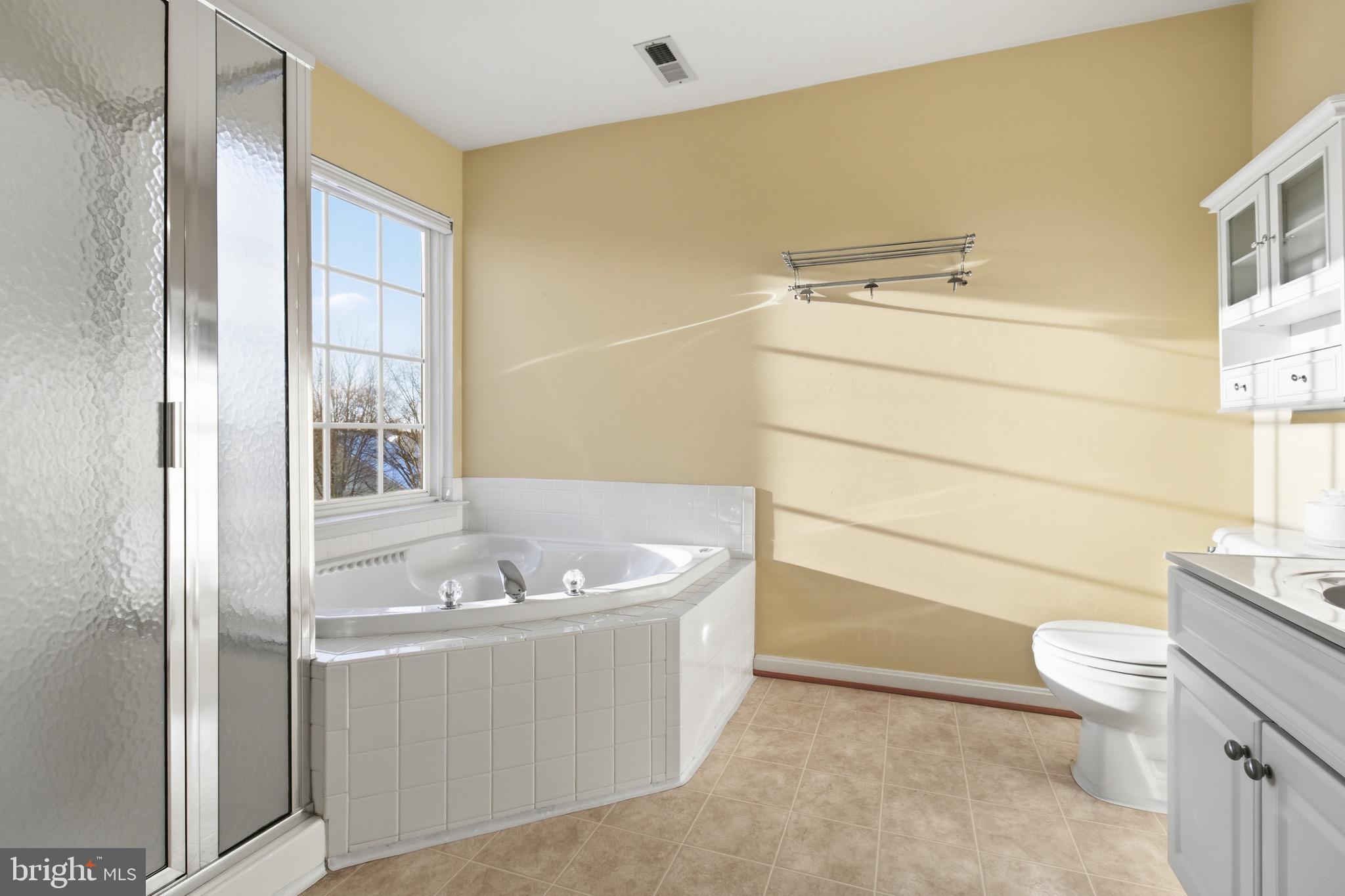 18544 Pineview Square Leesburg, VA 20176 - Photo 20 of 43 Primary Bathroom with Soaking Tub & Double vanity