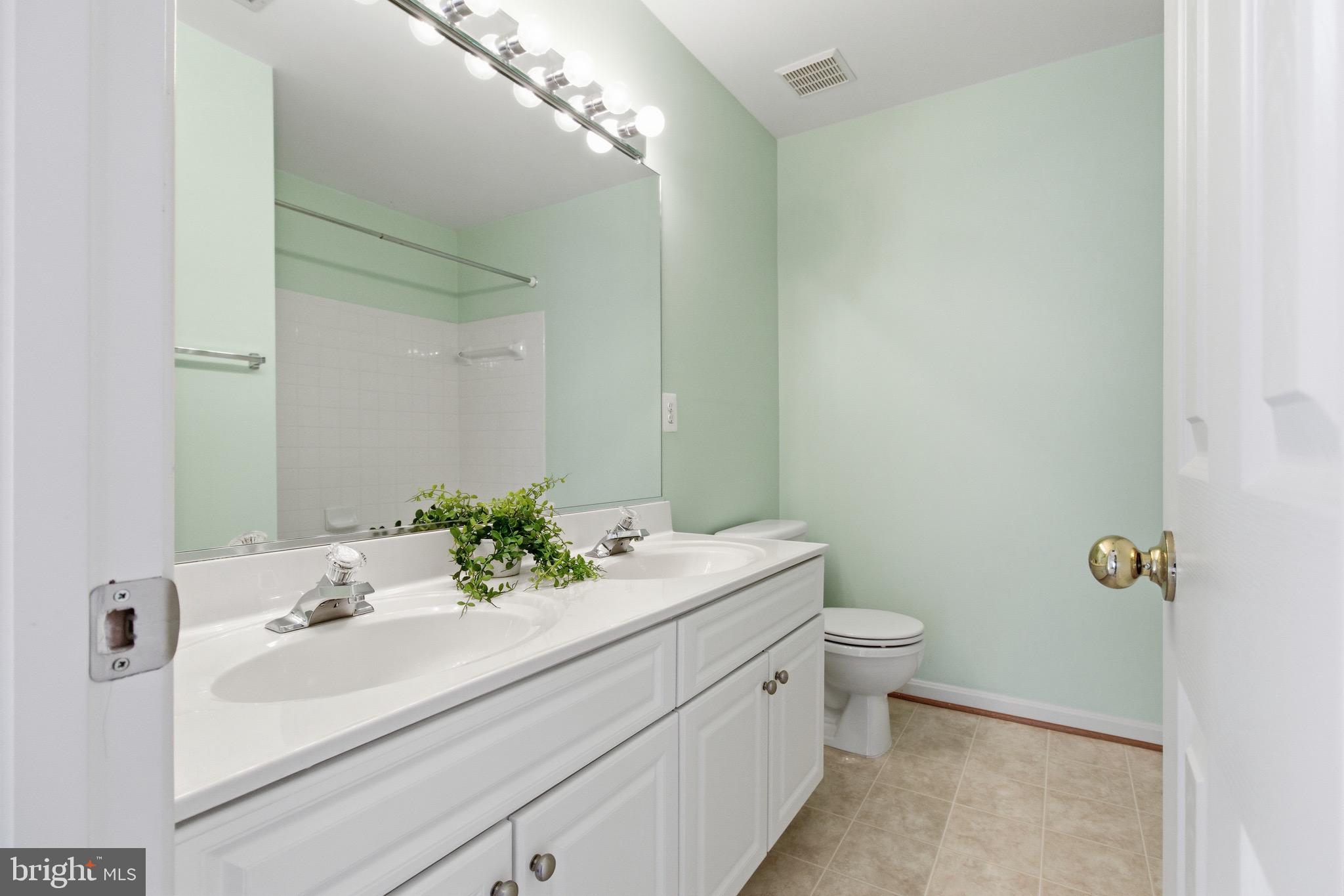 18544 Pineview Square Leesburg, VA 20176 - Photo 25 of 43 Hall Bathroom with double vanity