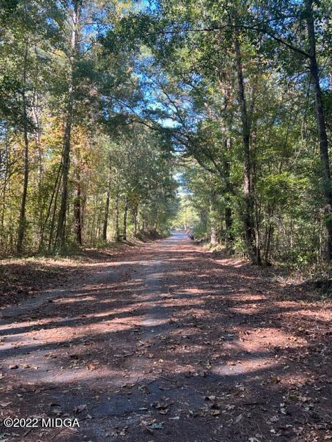 472 Fairview Church Road Forsyth, GA 31029 - Photo 5 of 6 a view of a yard with a tree