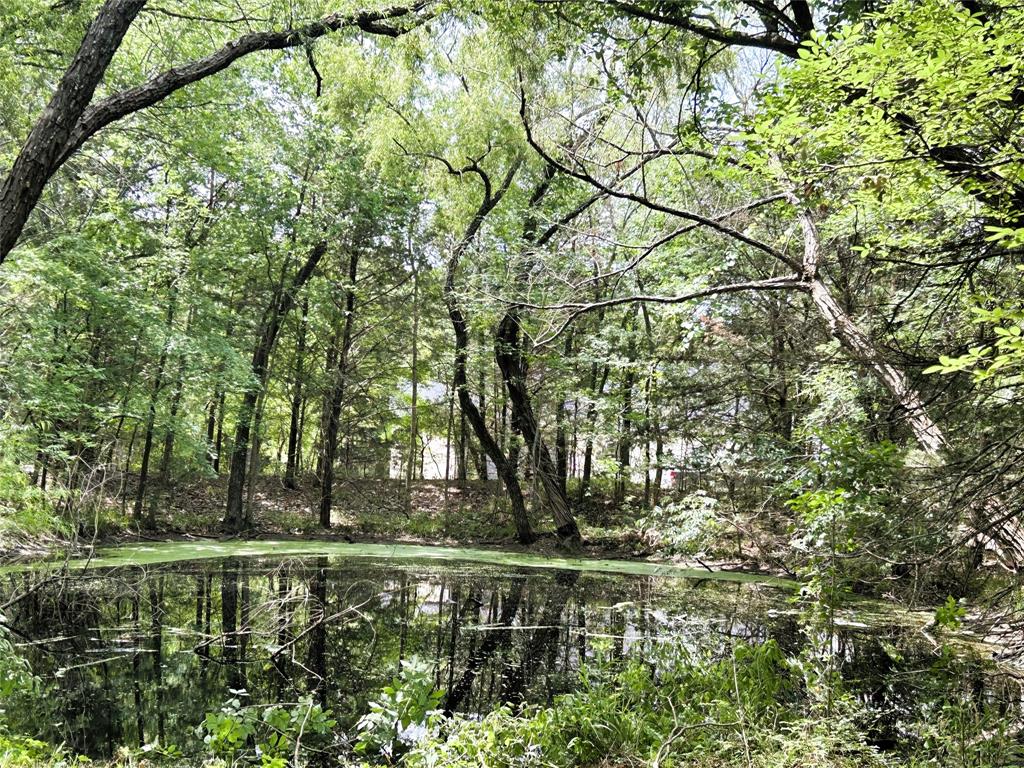 Lot 3 North Shore Road Quinlan, TX 75474 - Photo 3 of 10 Pond is shared with lot 4.